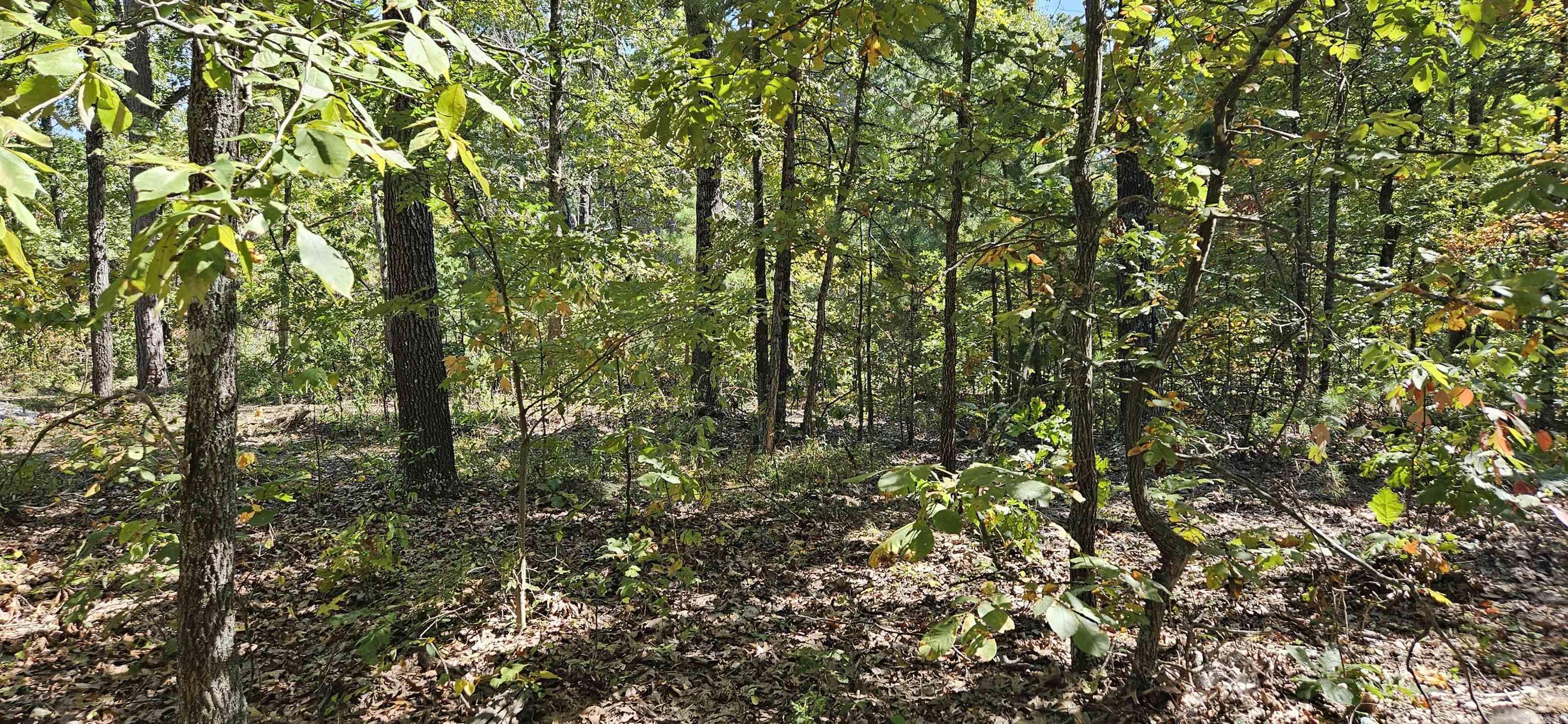 229 Elmbrook Lane Property Photo 10