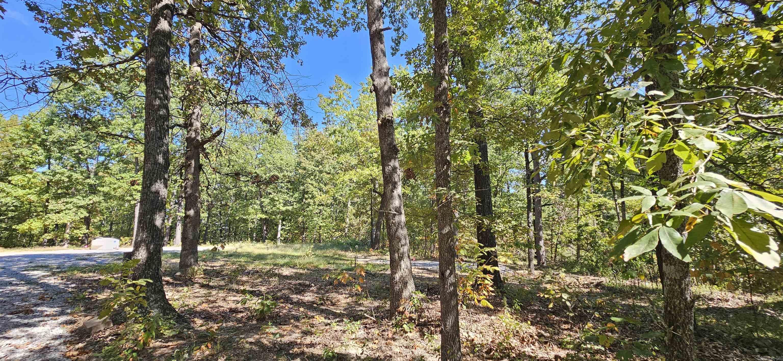 229 Elmbrook Lane Property Photo 11