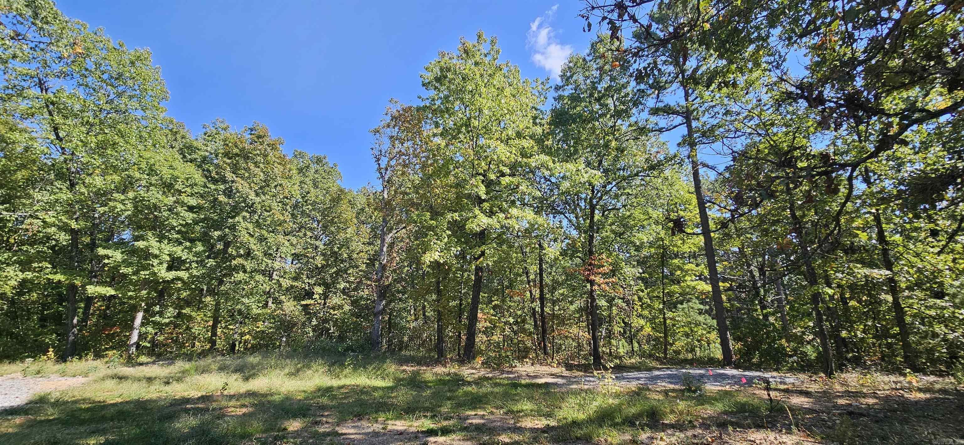 229 Elmbrook Lane Property Photo 12