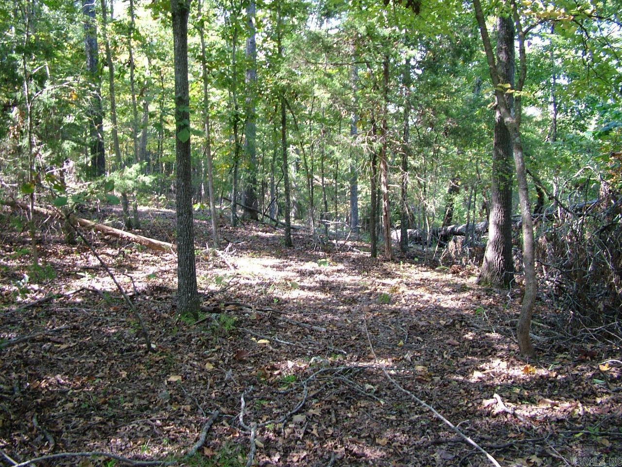001-00225-001 MC 6062 Property Photo 1