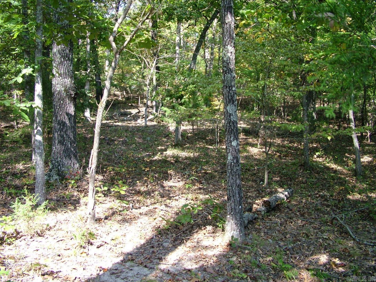 001-00225-001 Mc 6062 Property Photo 5