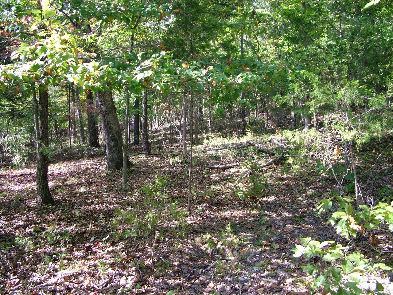 001-00225-001 Mc 6062 Property Photo 6