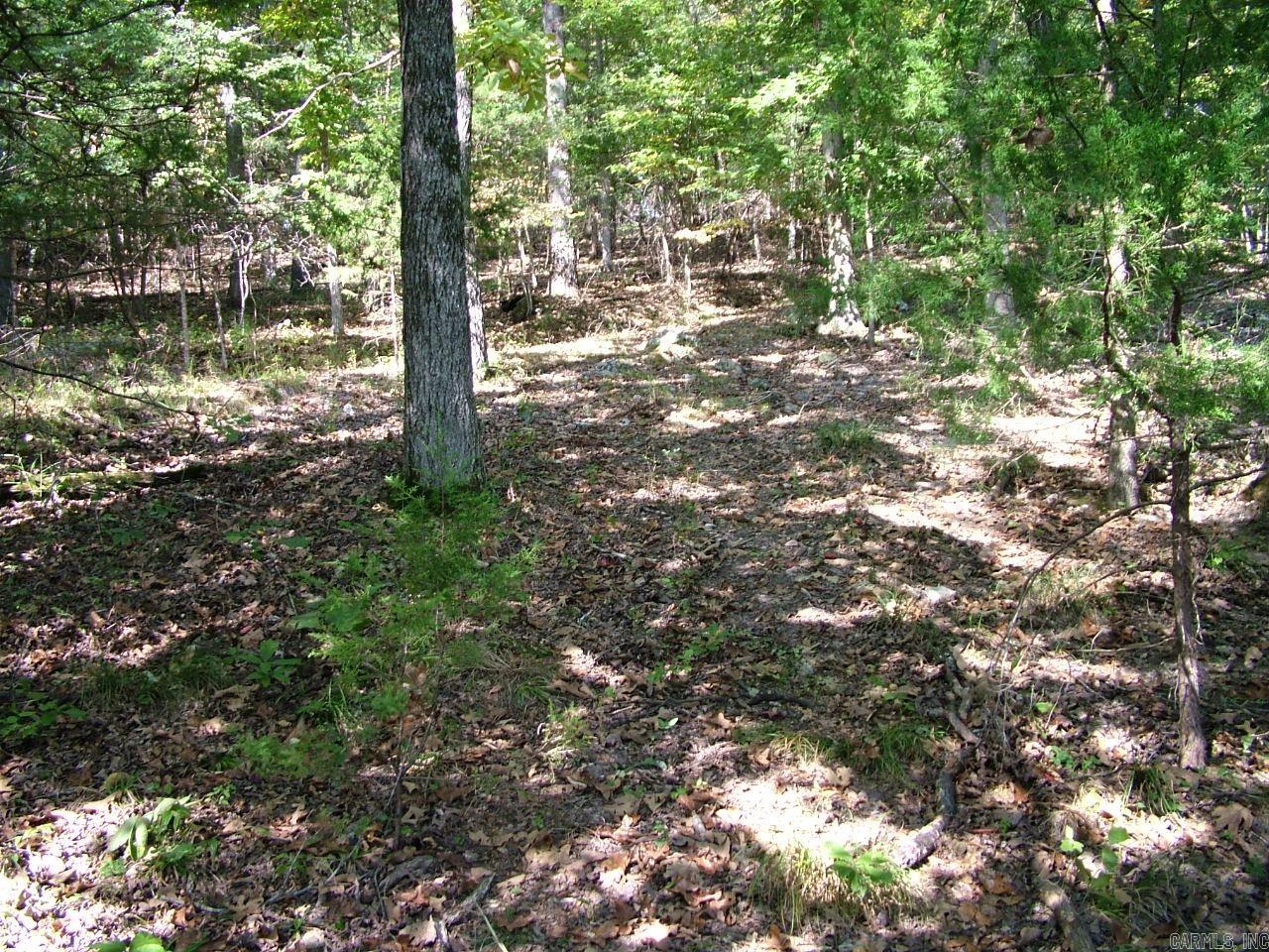 001-00225-001 Mc 6062 Property Photo 7