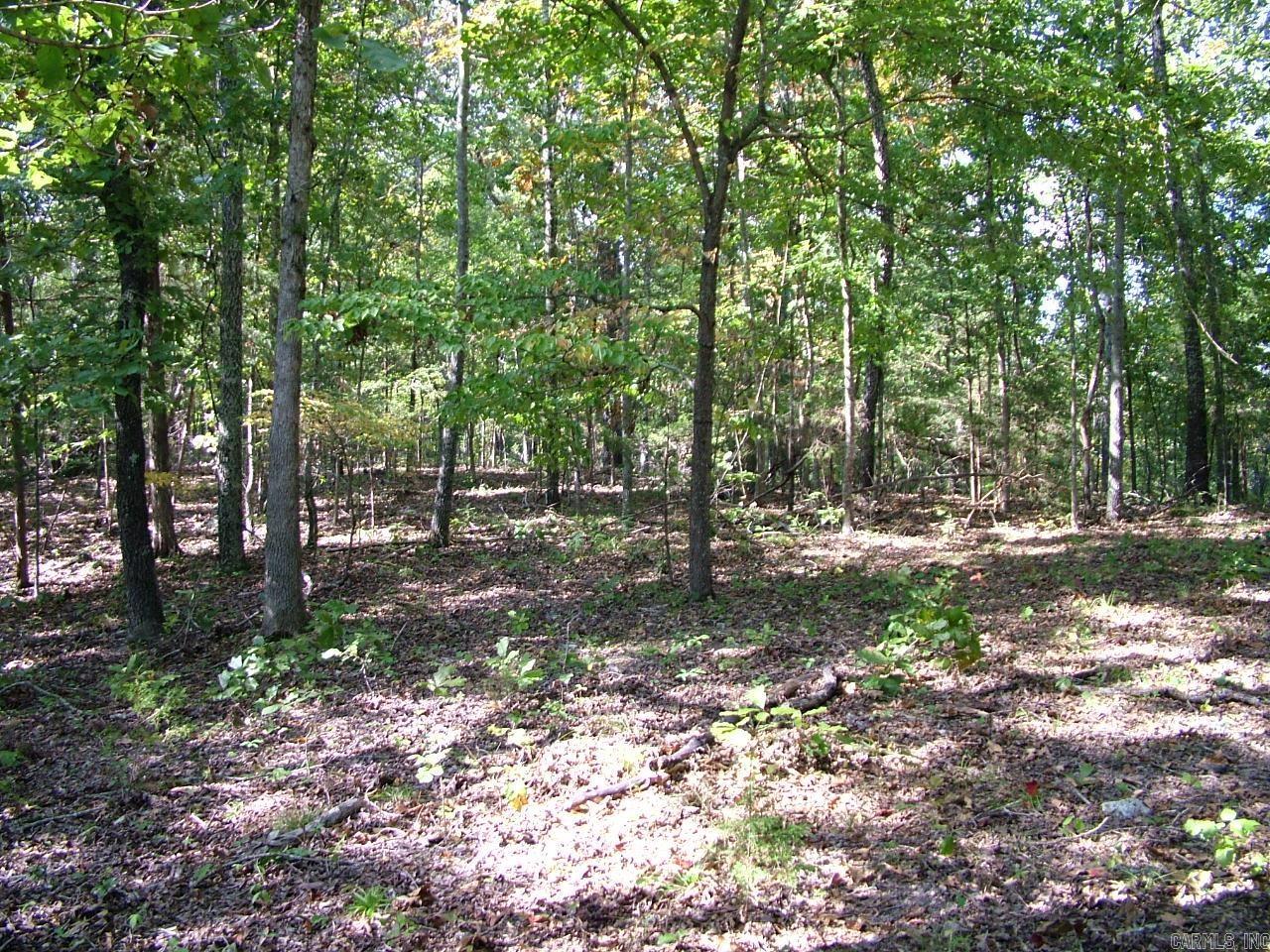 001-00225-001 Mc 6062 Property Photo 10