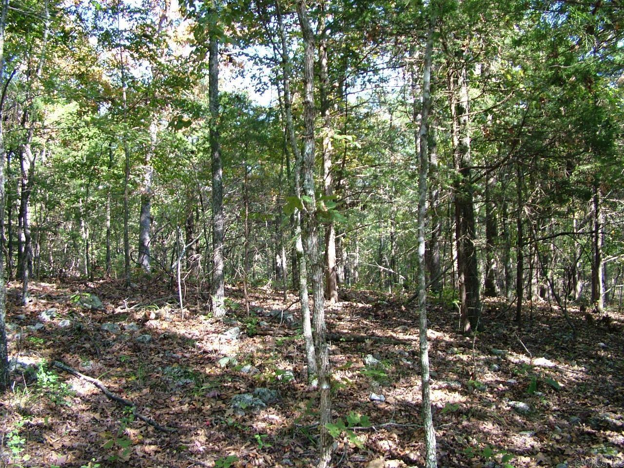001-00225-001 Mc 6062 Property Photo 11
