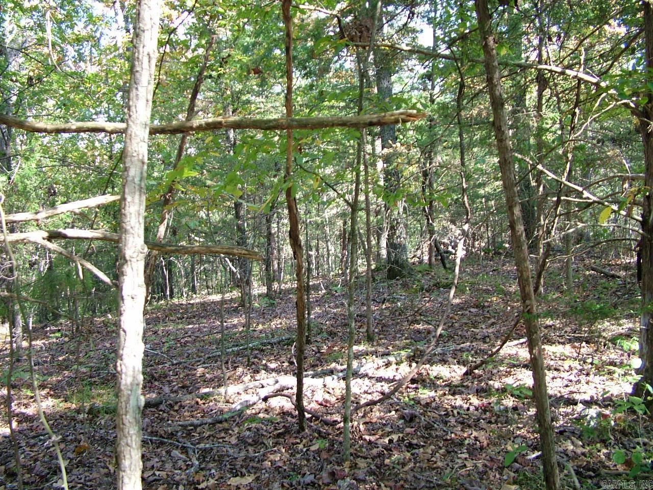 001-00225-001 Mc 6062 Property Photo 12