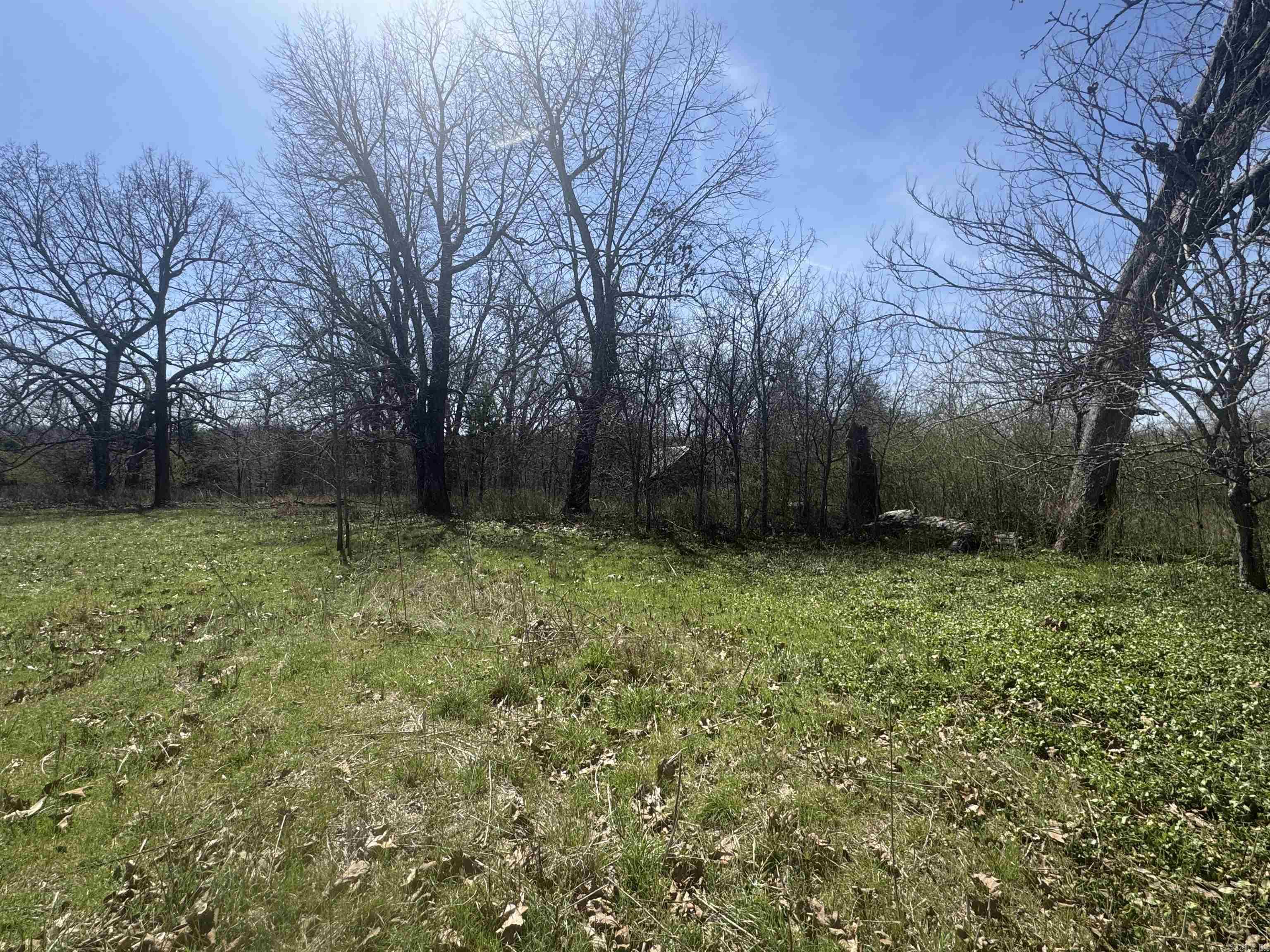 86 Center Circle Property Photo 7