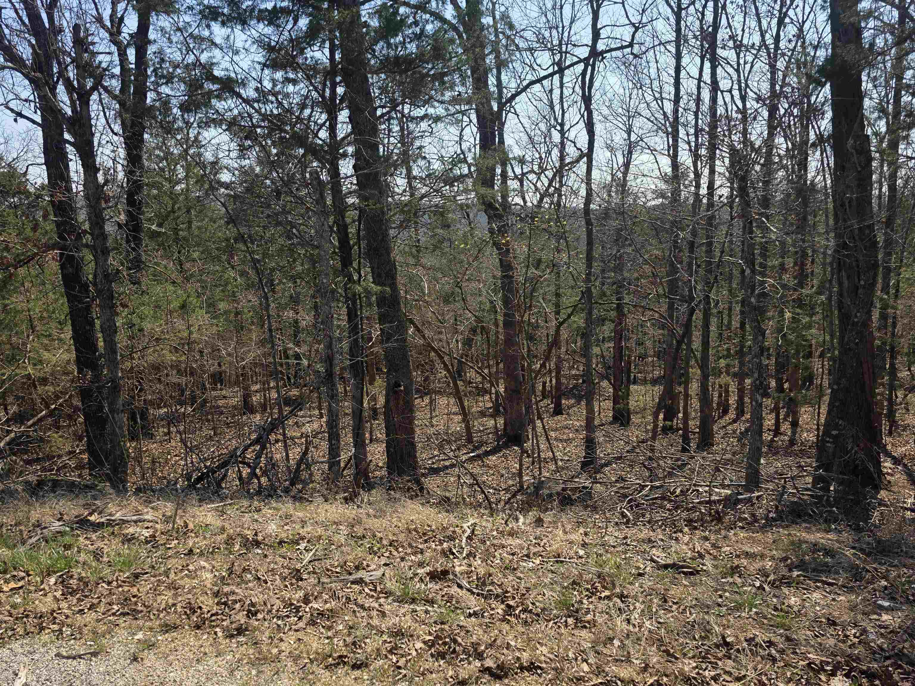 L31 B3 Ohew Drive Property Photo 12