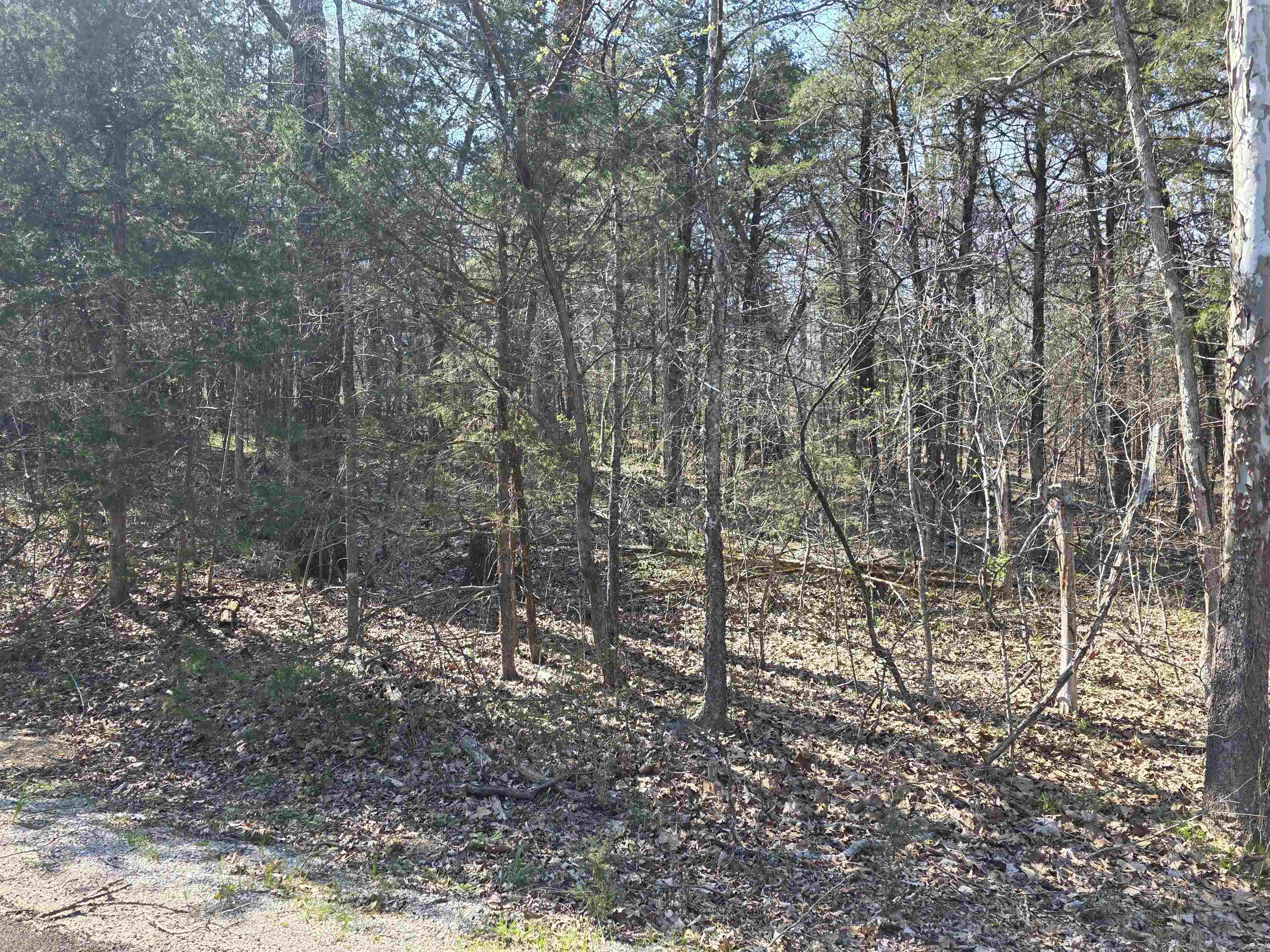 L35 B4 Nokonda Road Property Photo 4