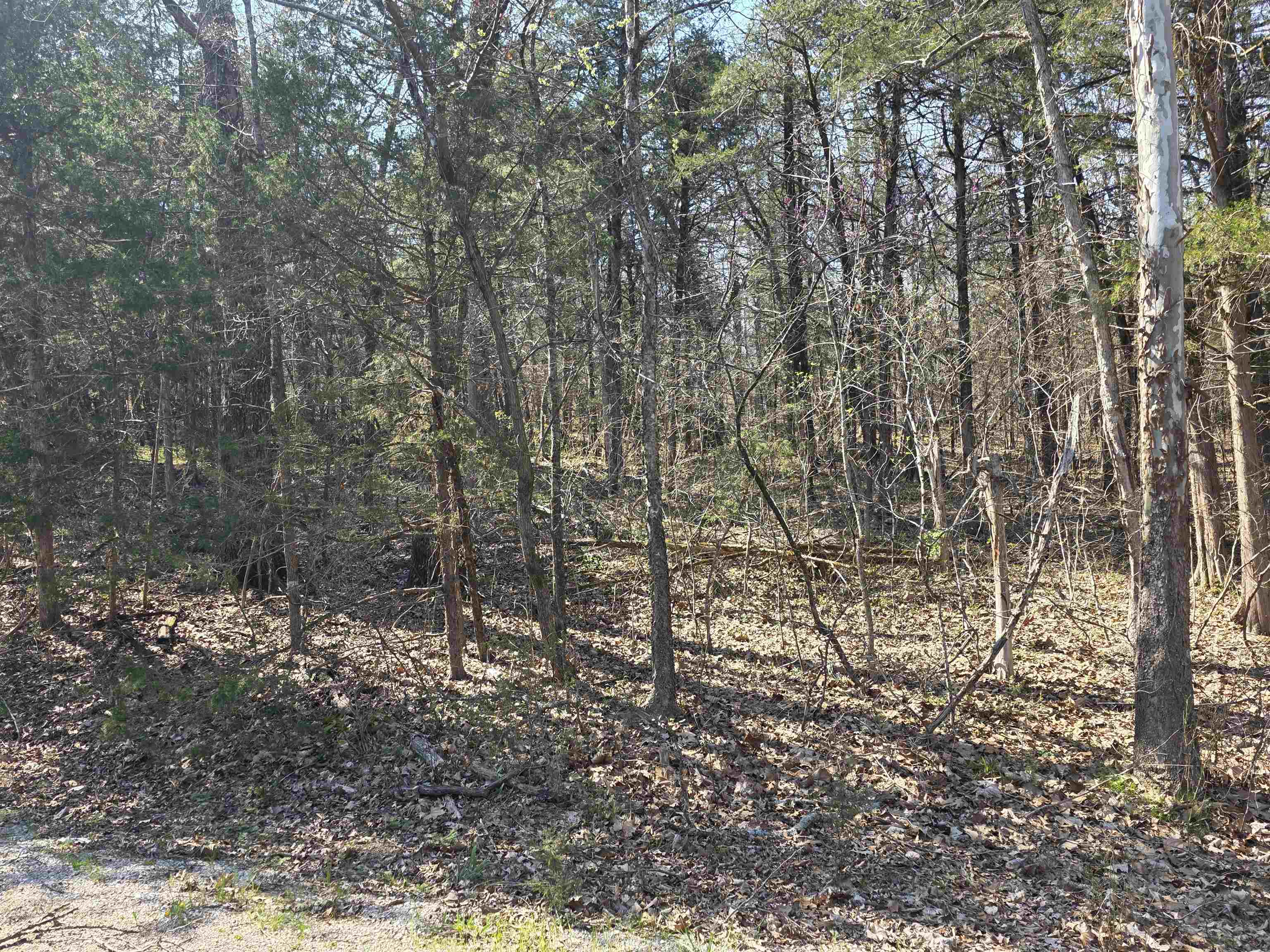 L35 B4 Nokonda Road Property Photo 6
