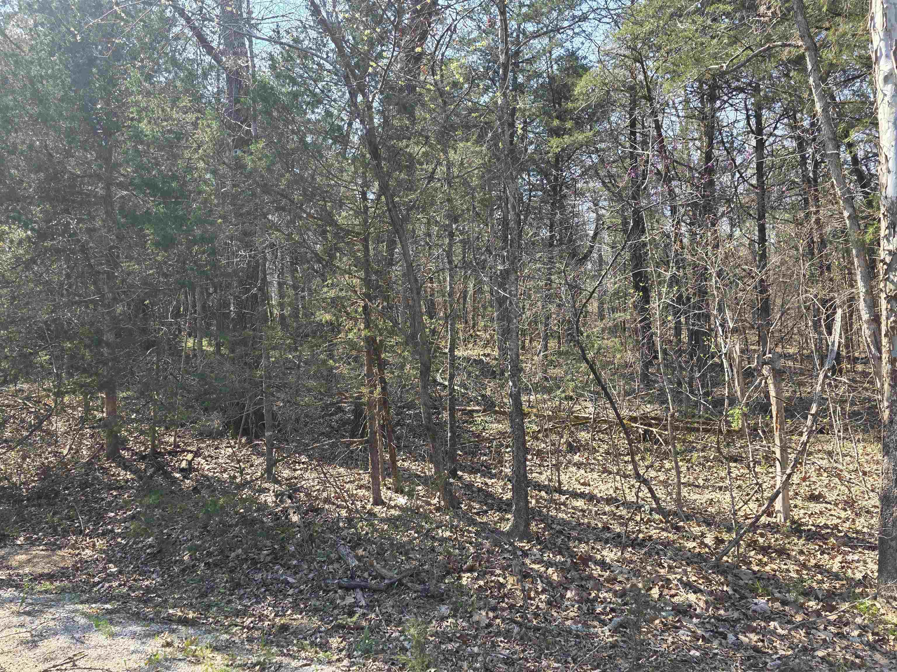 L35 B4 Nokonda Road Property Photo 7