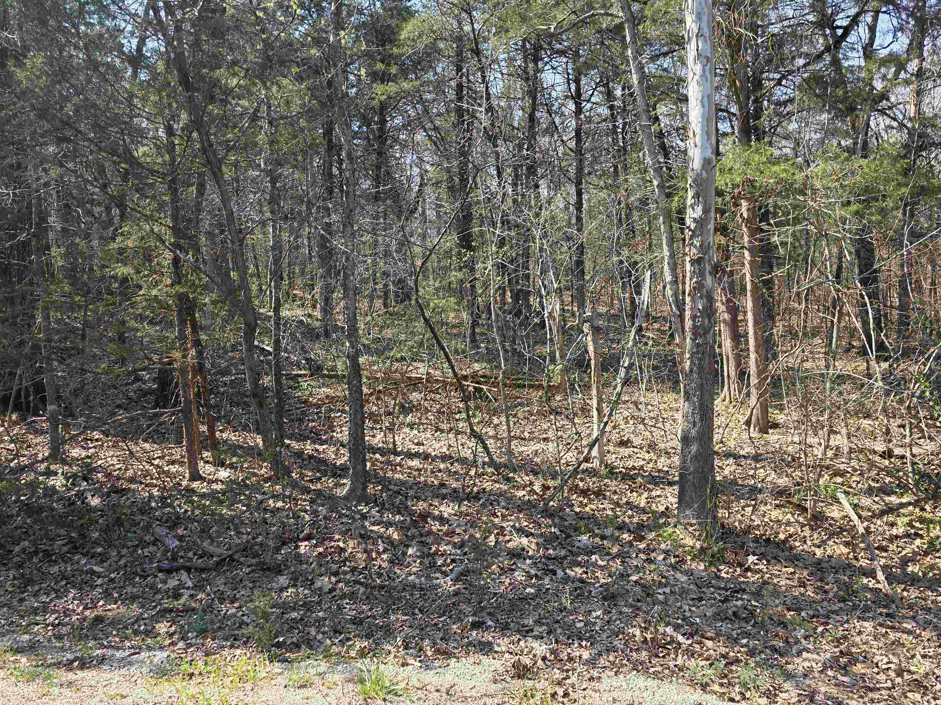 L35 B4 Nokonda Road Property Photo 8