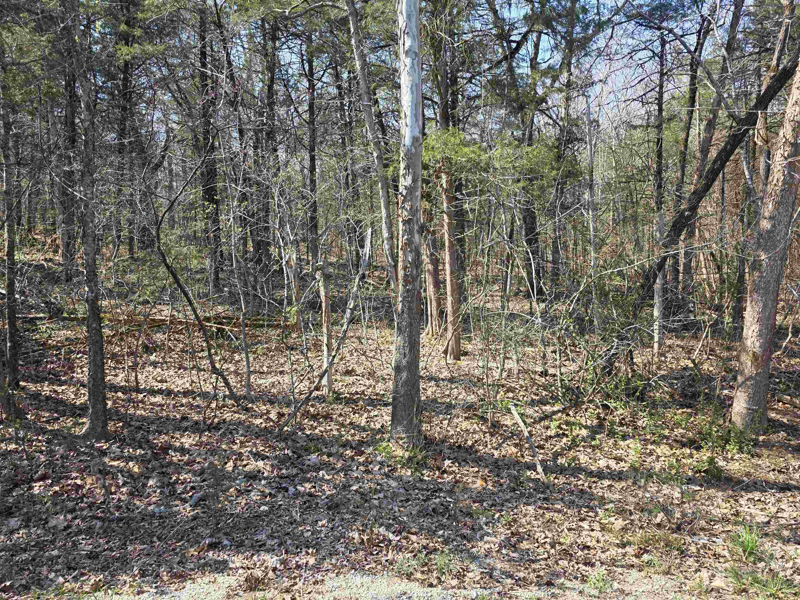 L35 B4 Nokonda Road Property Photo 10