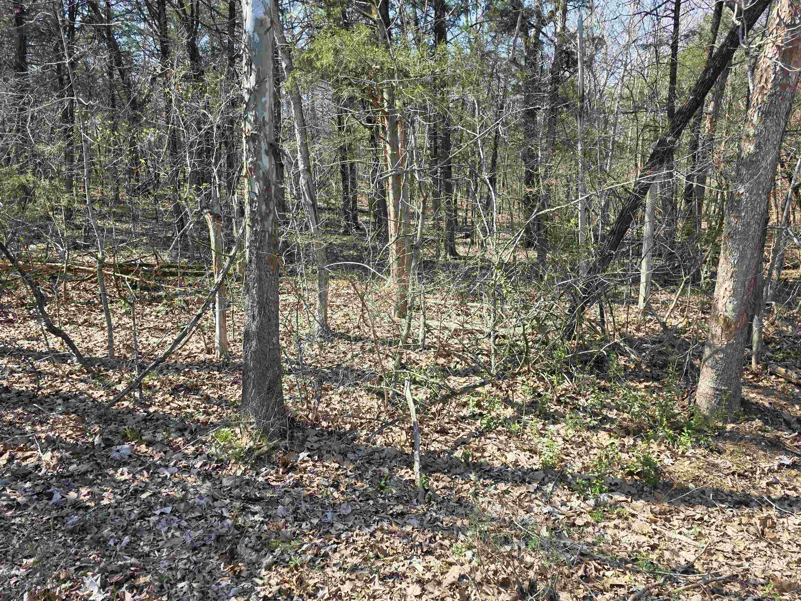 L35 B4 Nokonda Road Property Photo 11