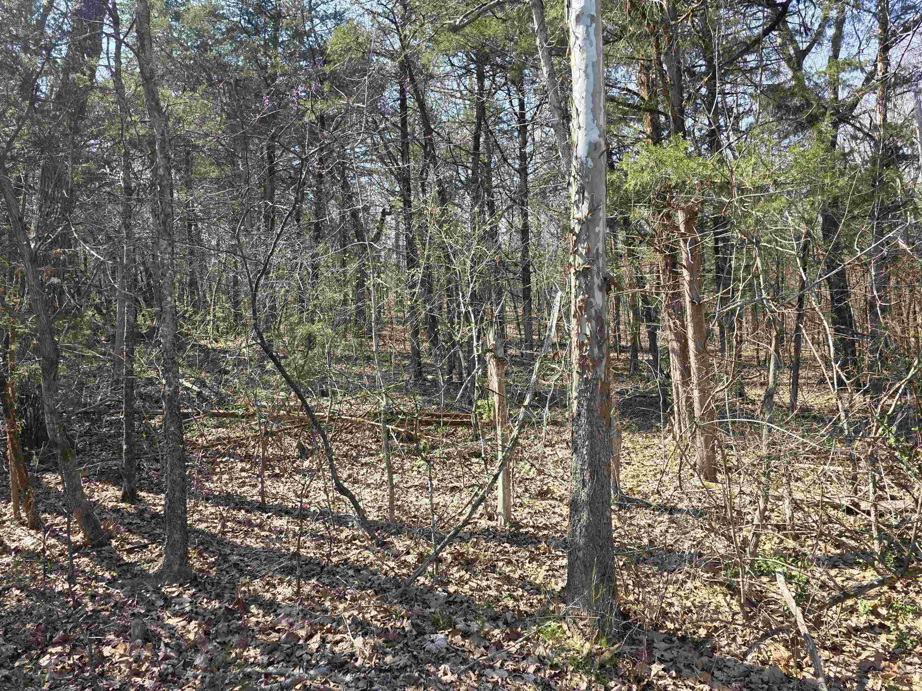 L35 B4 Nokonda Road Property Photo 13