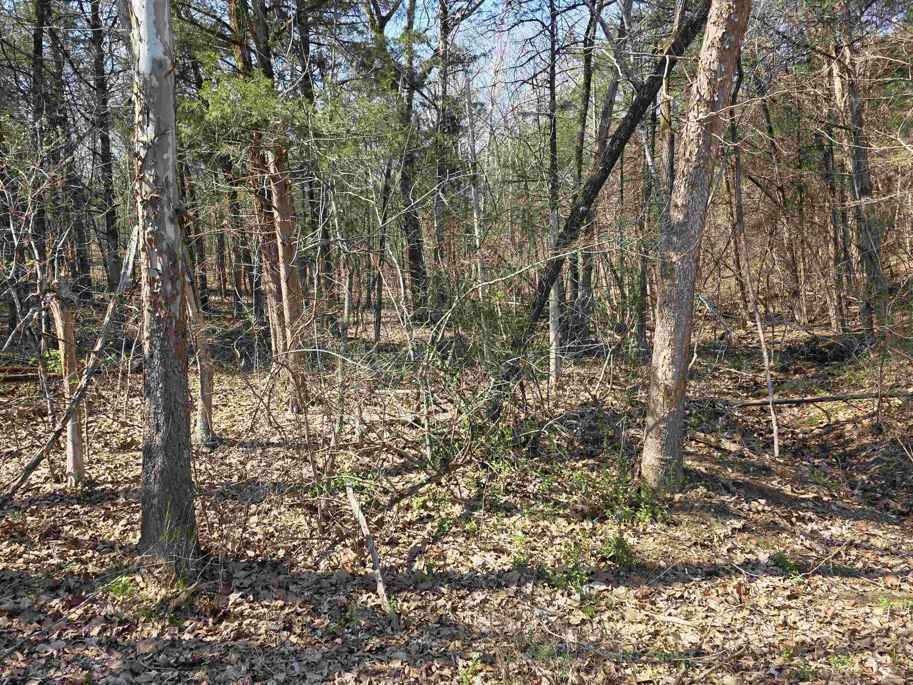 L35 B4 Nokonda Road Property Photo 14