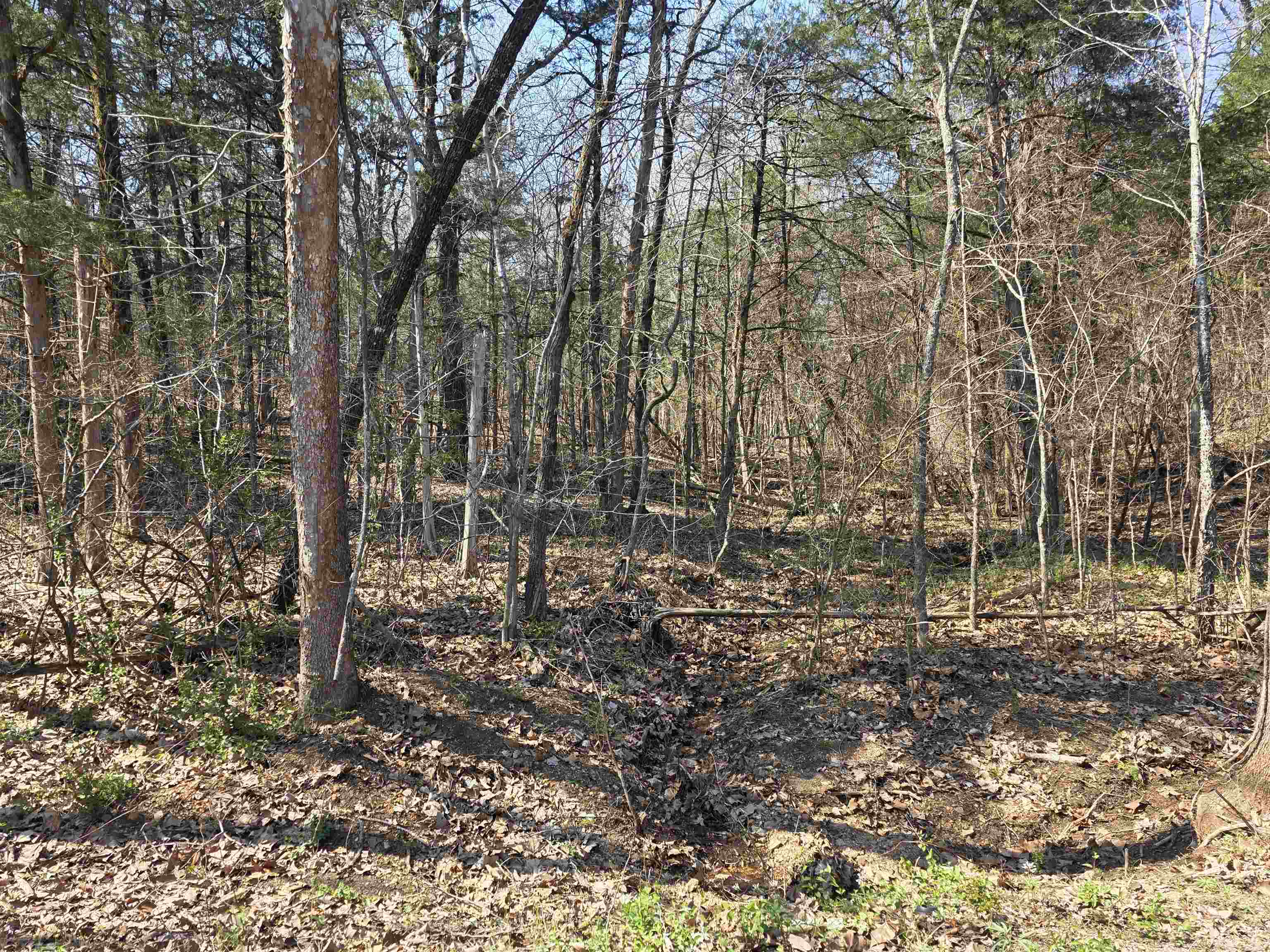 L35 B4 Nokonda Road Property Photo 15
