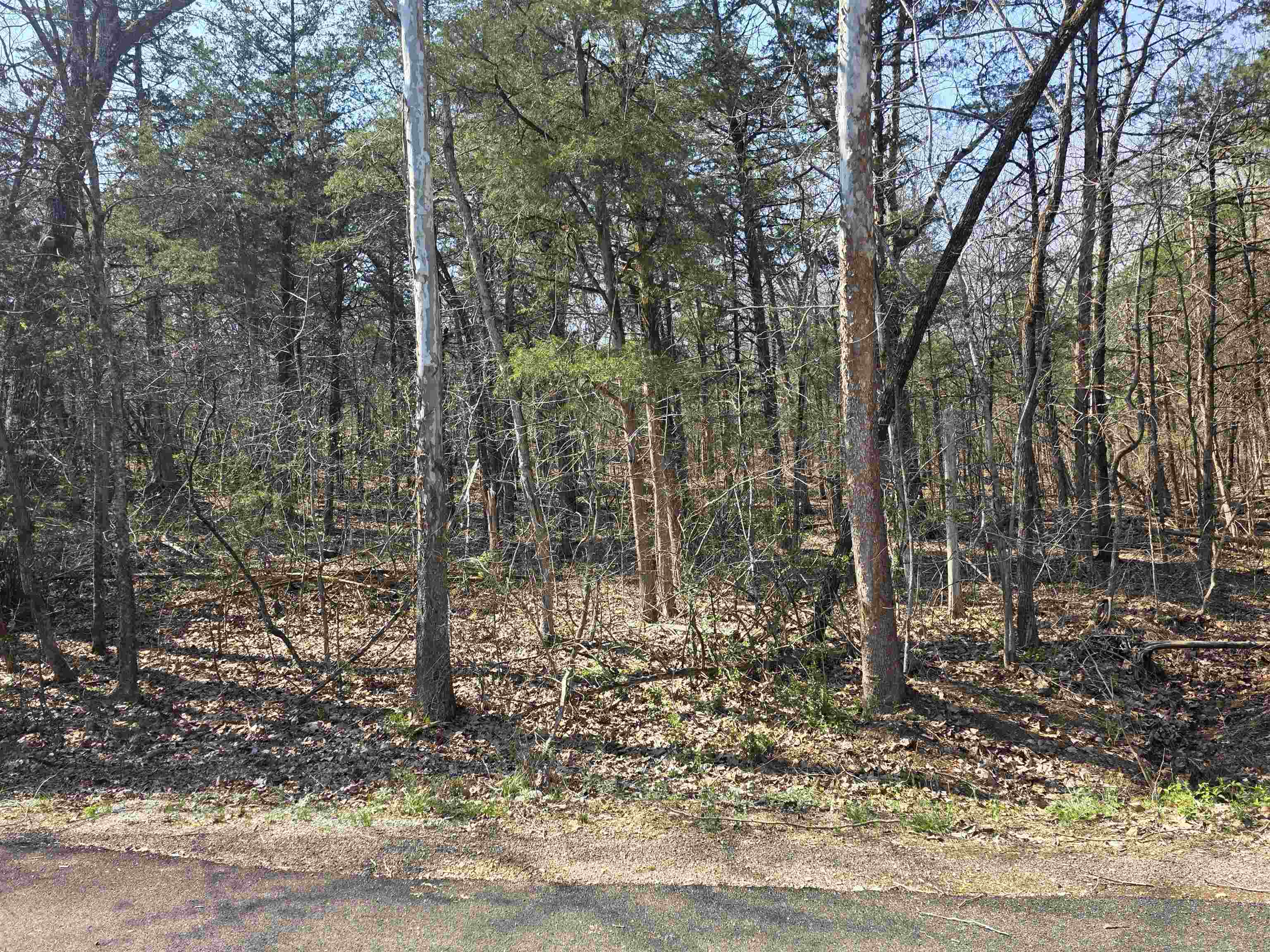 L35 B4 Nokonda Road Property Photo 16