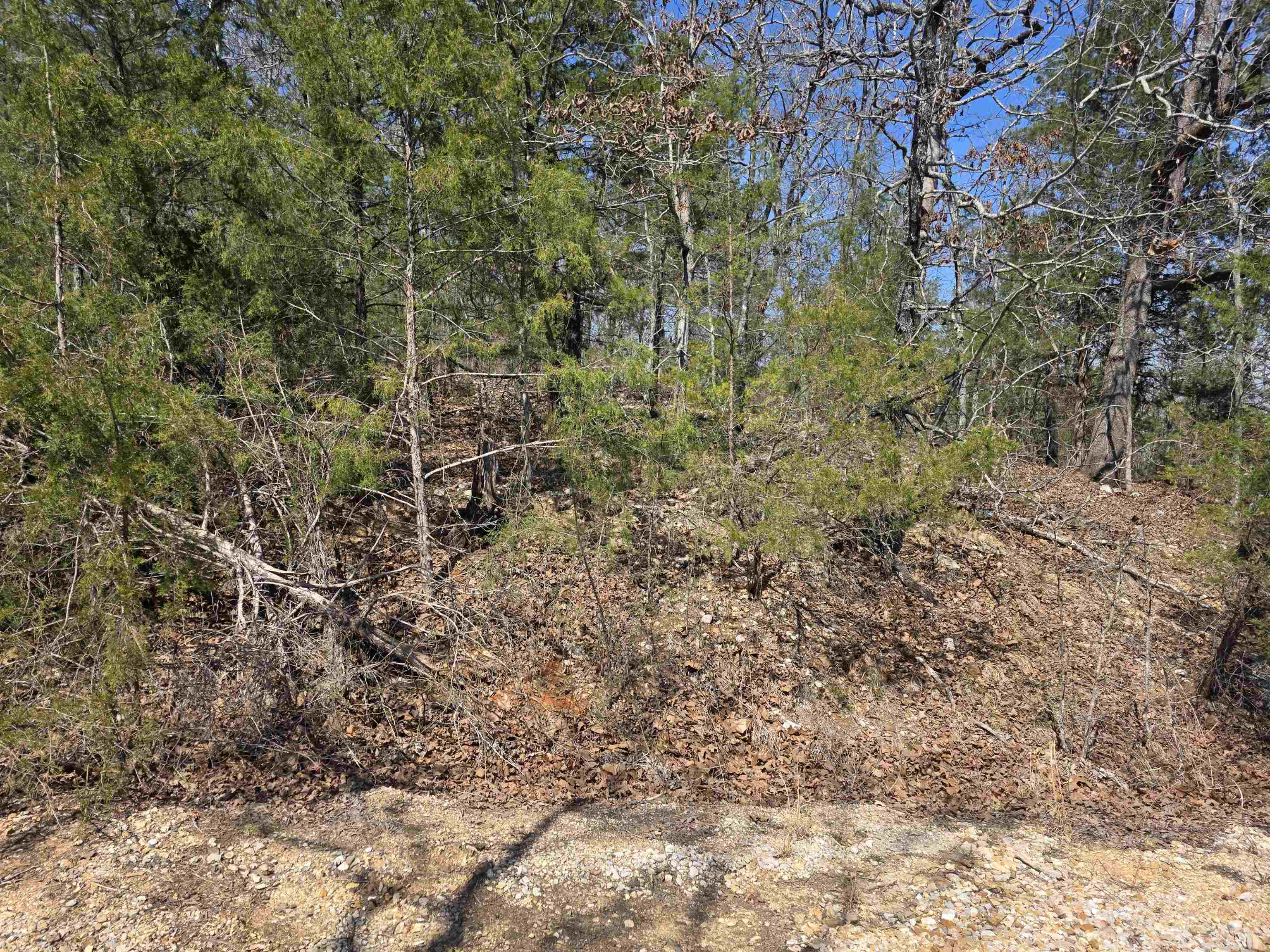 L52 B2 Chief Day Break Drive Property Photo 1