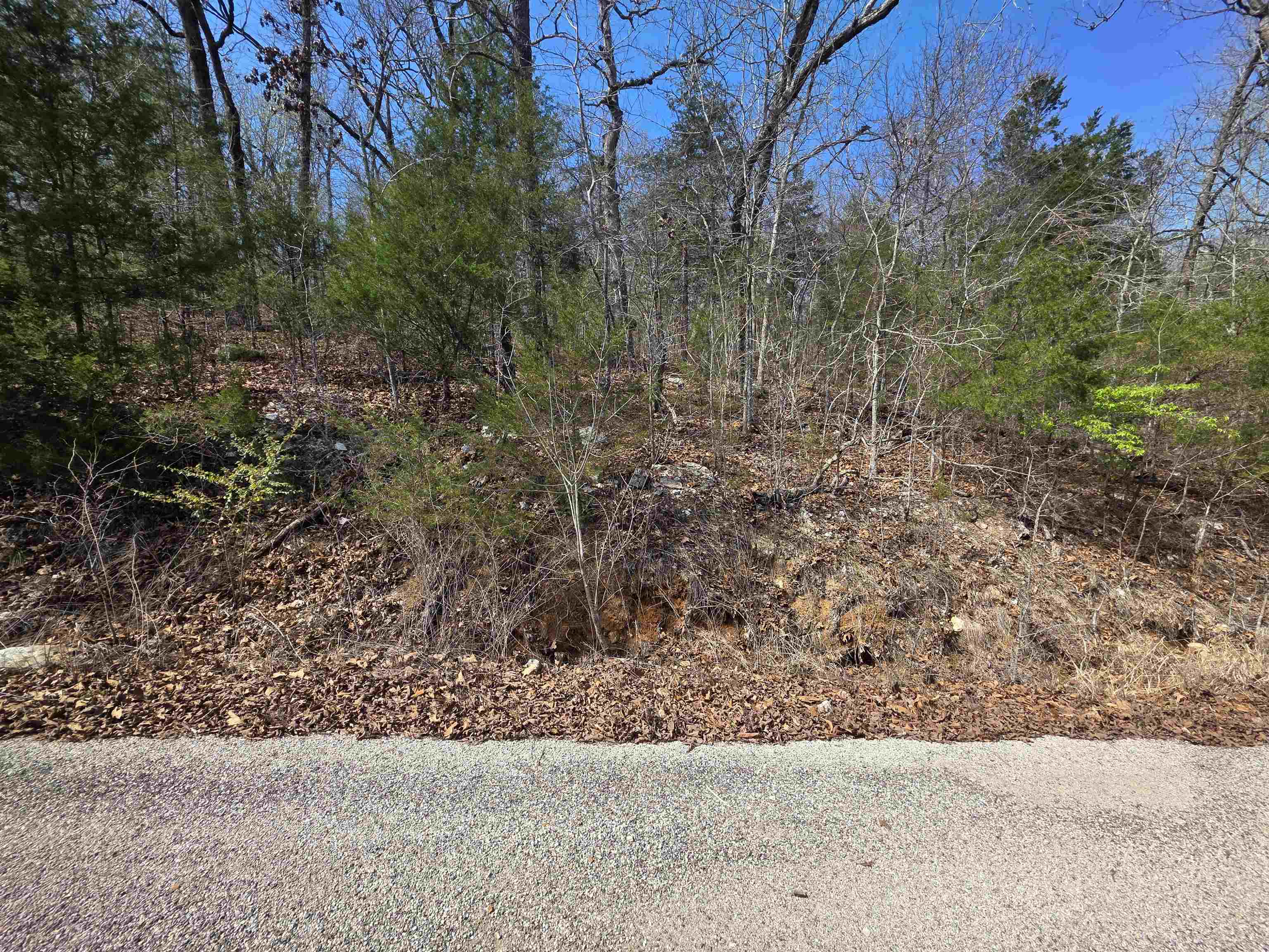 L12 B1 Deer Run Drive Property Photo 4