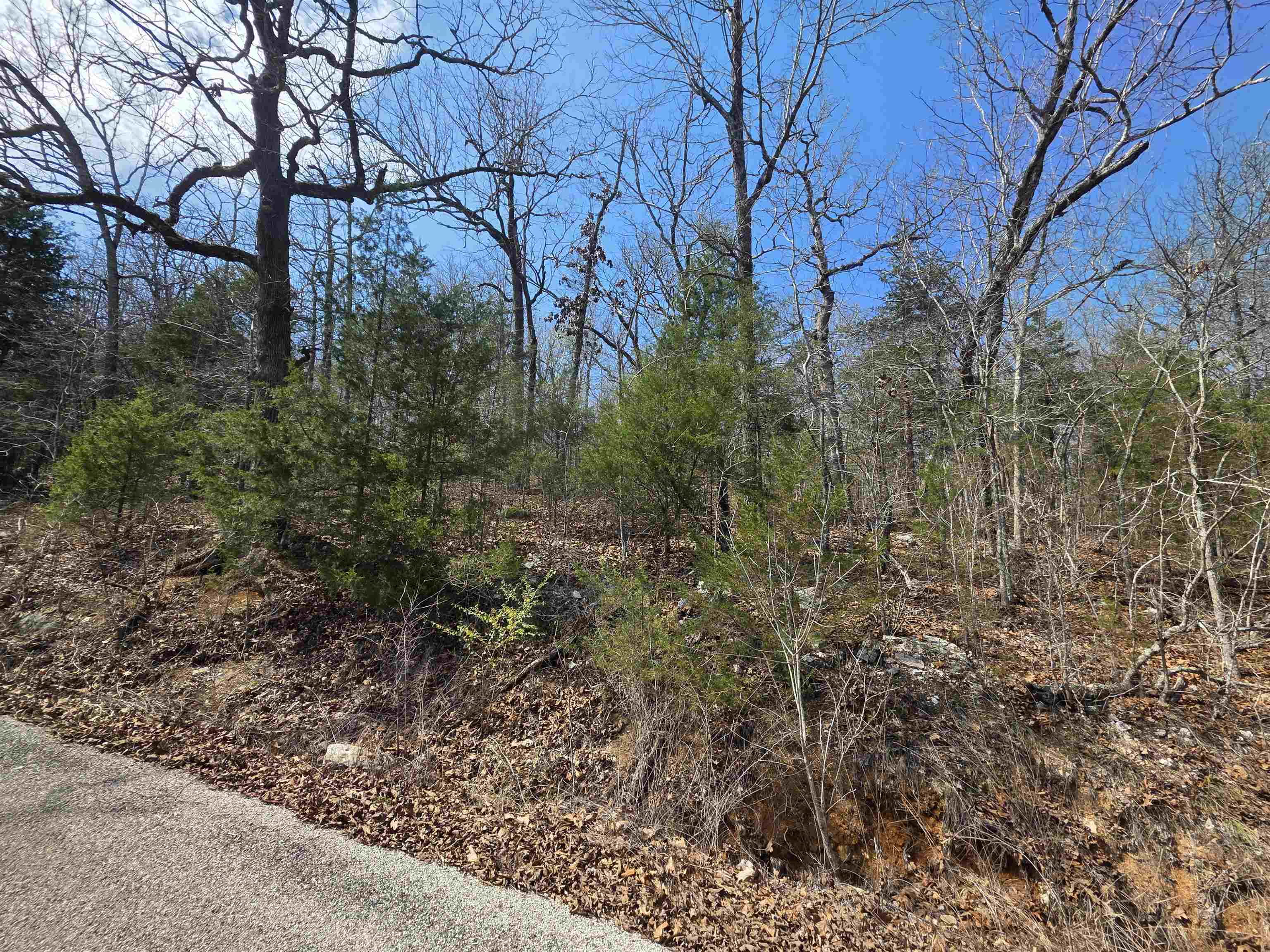 L12 B1 Deer Run Drive Property Photo 5