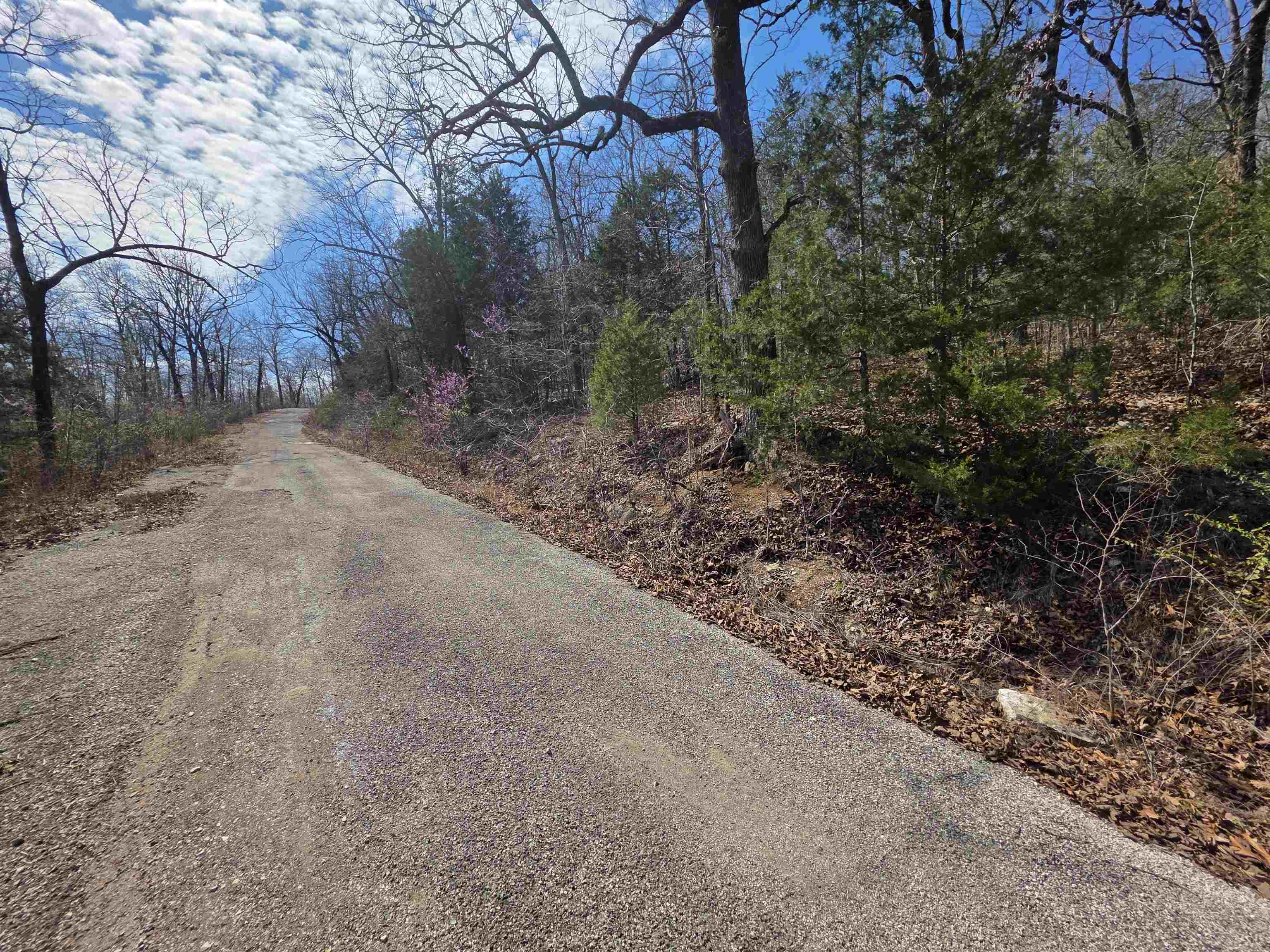L12 B1 Deer Run Drive Property Photo 6