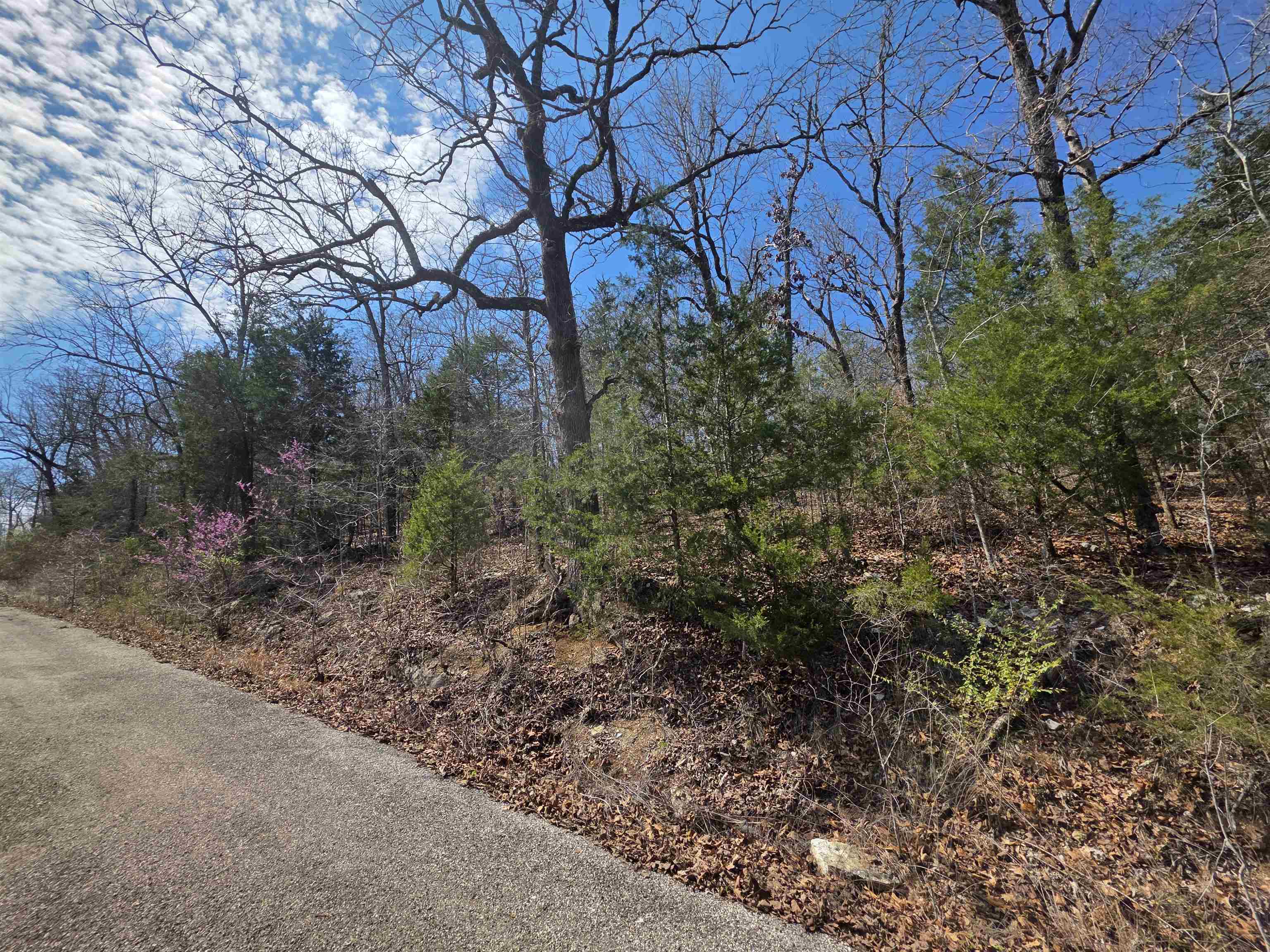 L12 B1 Deer Run Drive Property Photo 7