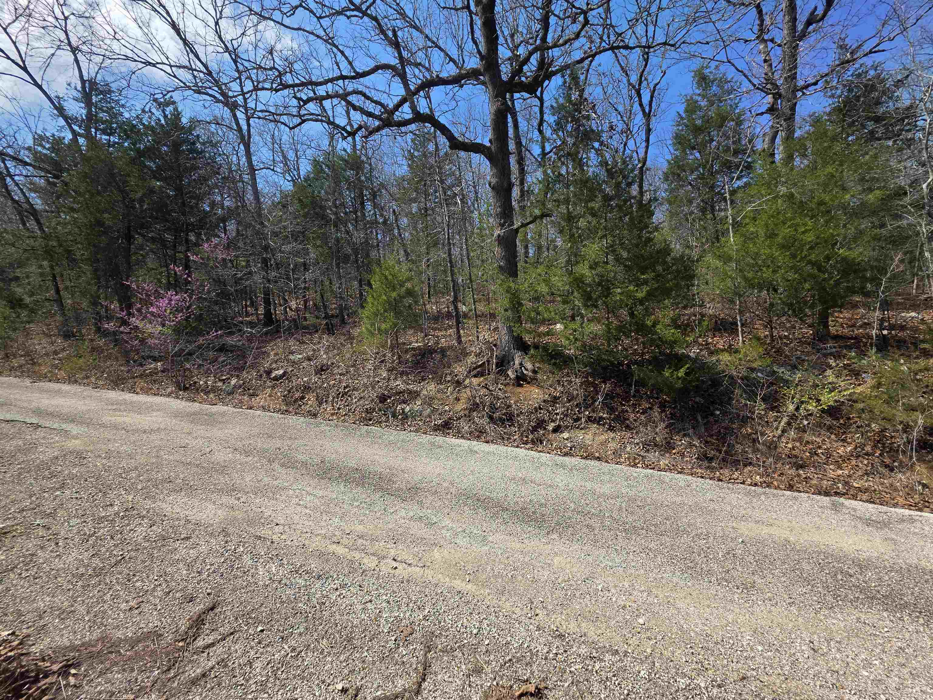 L12 B1 Deer Run Drive Property Photo 8