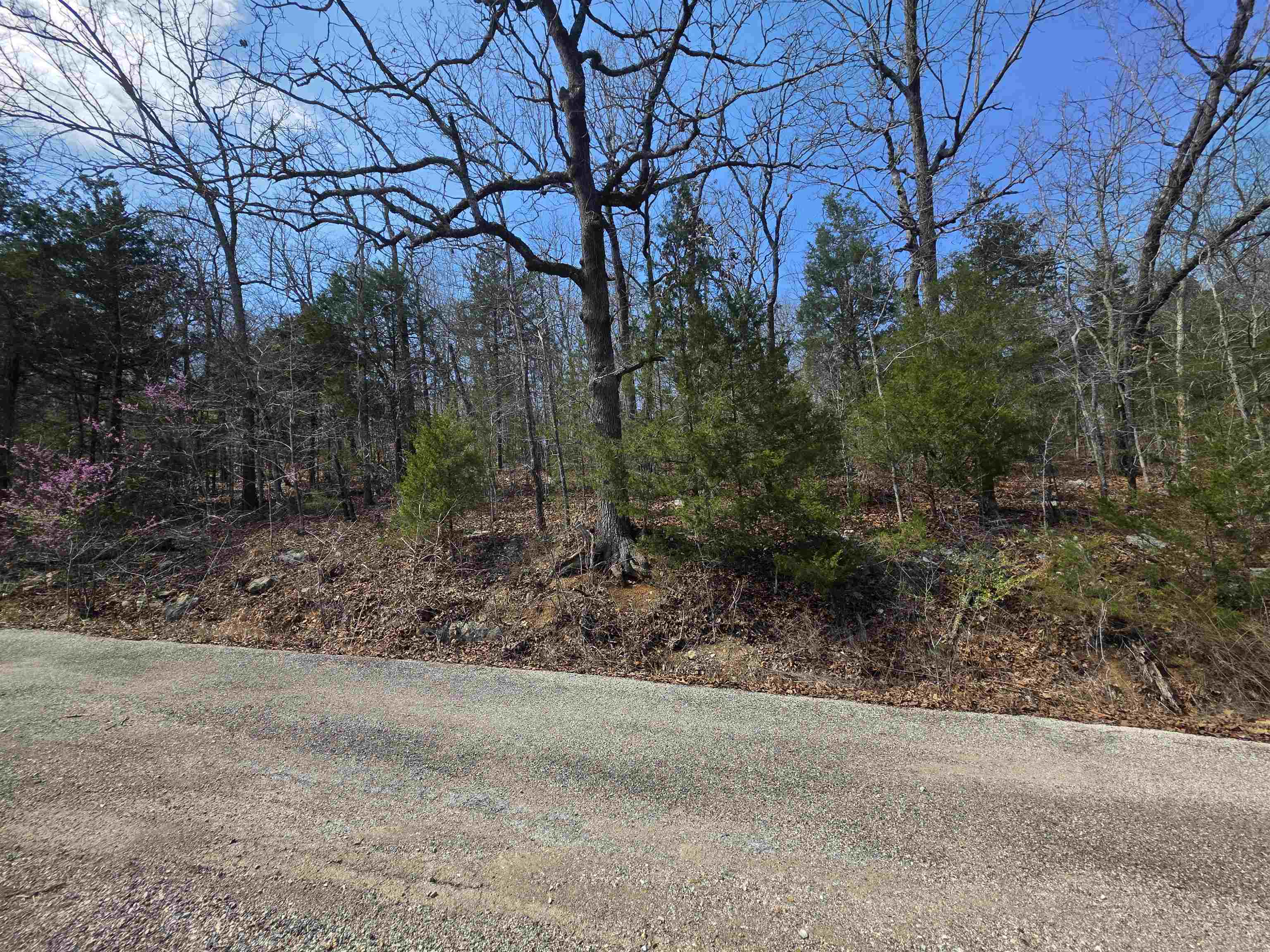 L12 B1 Deer Run Drive Property Photo 10