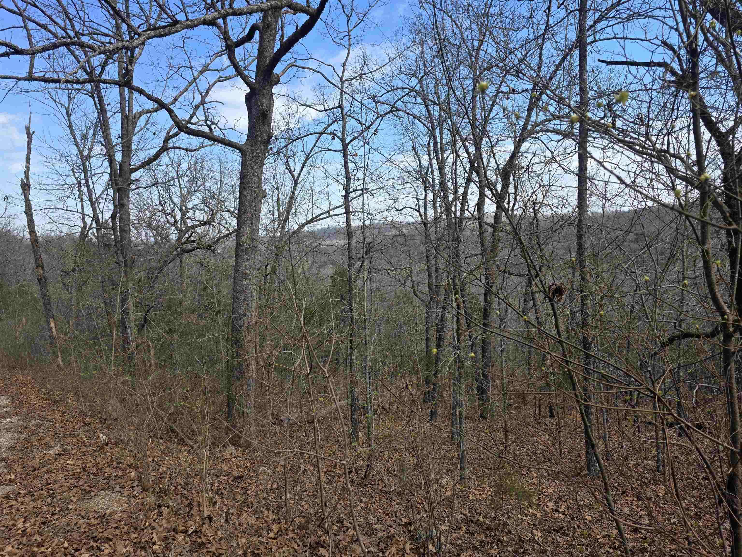 L6 B1 Deer Run Drive Property Photo 8