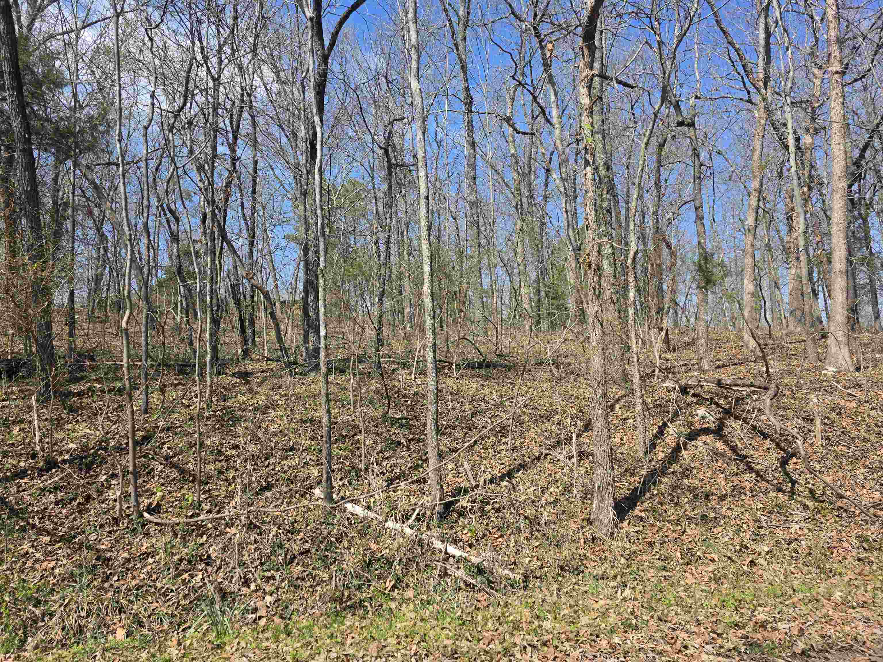 L33 B7 Navajo Trace Property Photo 4
