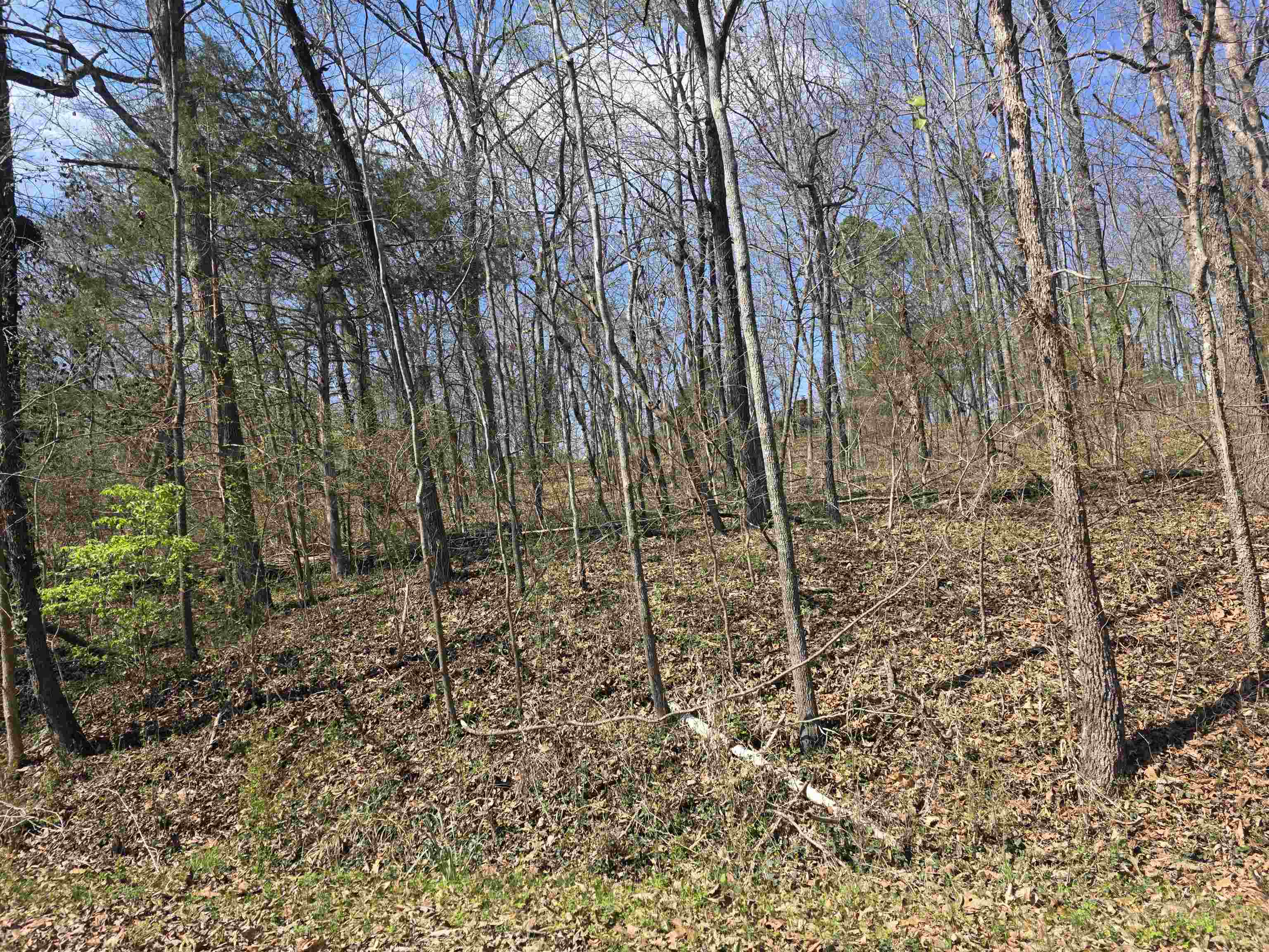 L33 B7 Navajo Trace Property Photo 12