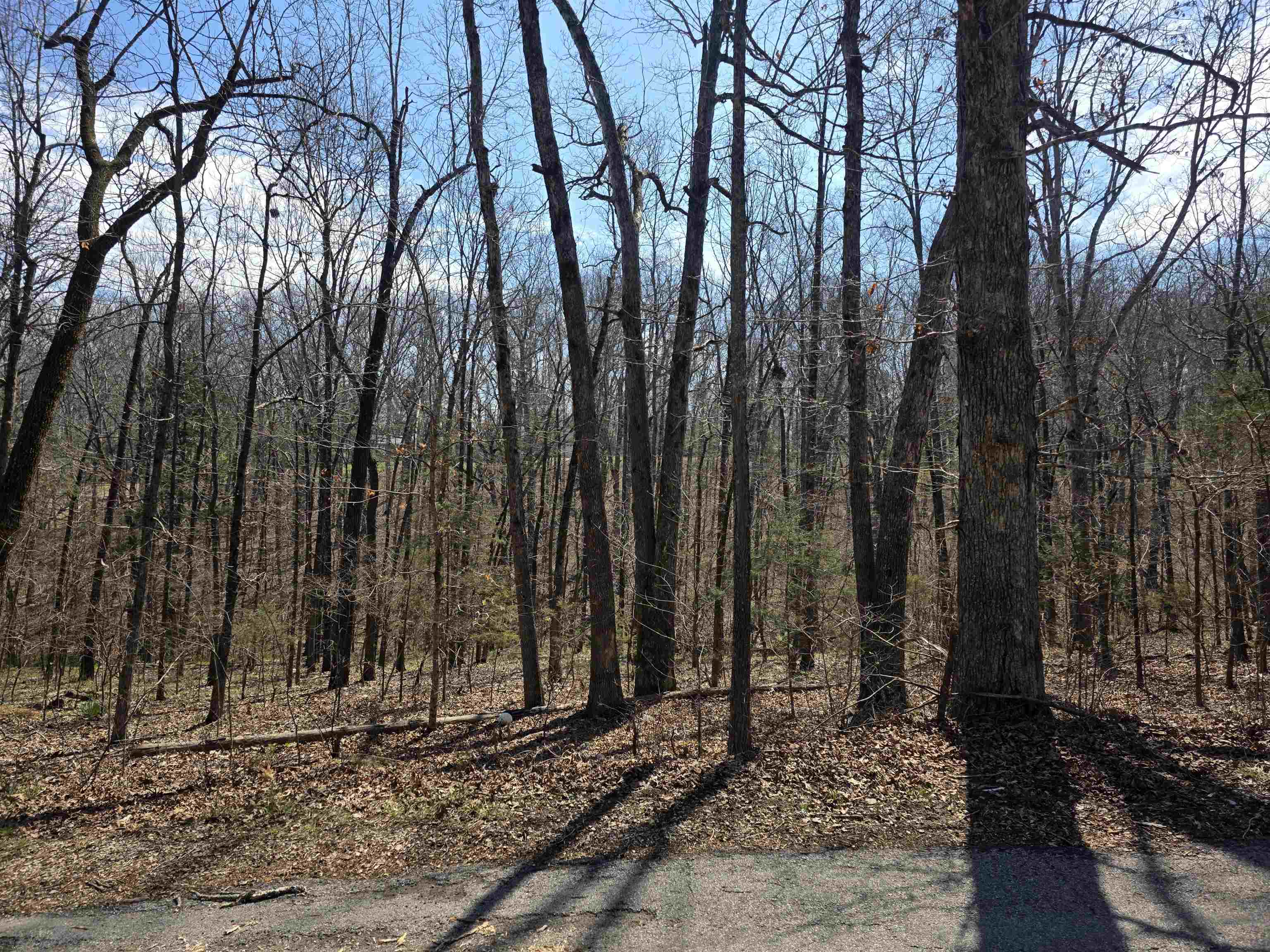 L25 B4 Keno Drive Property Photo 11