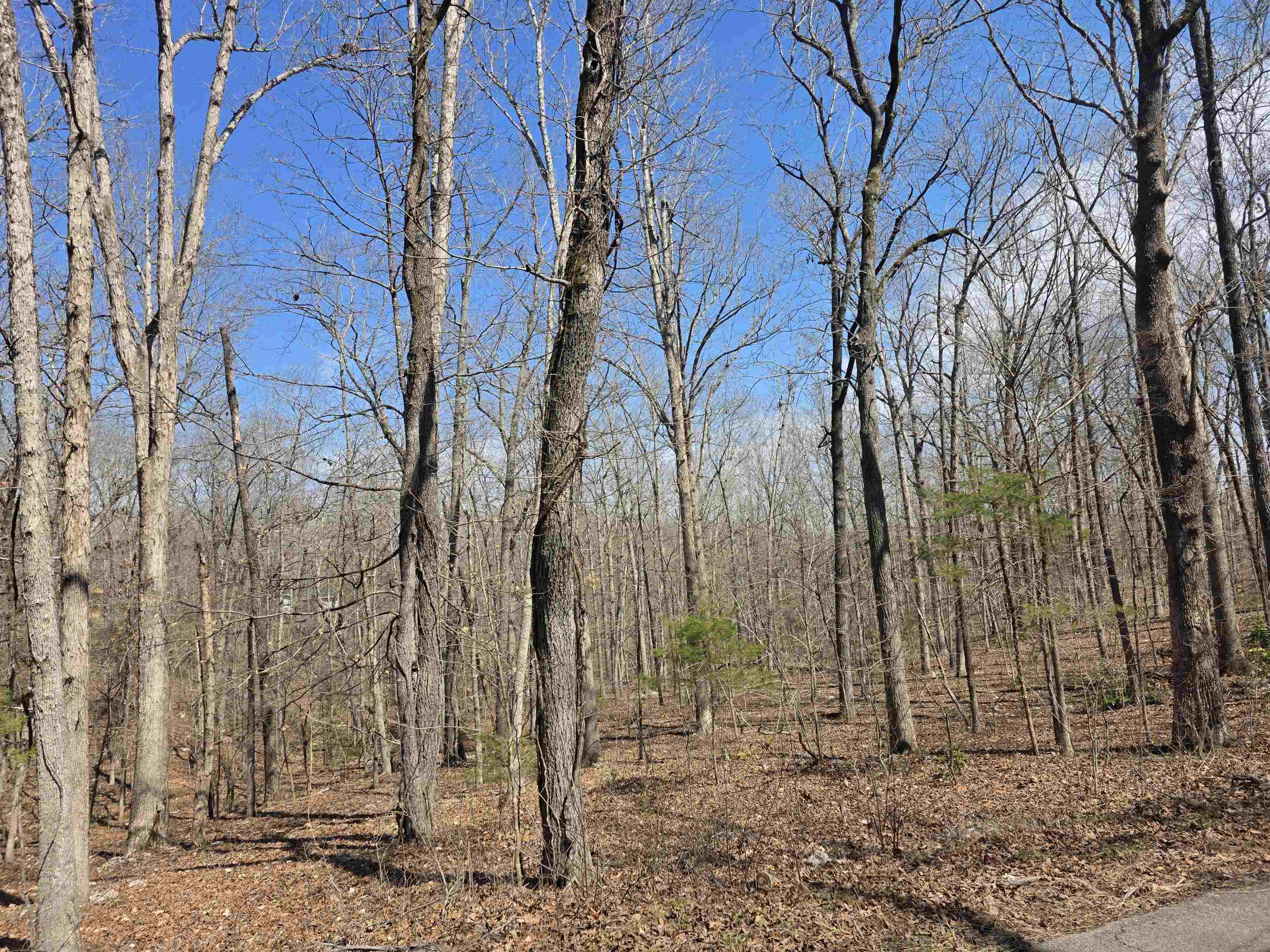 L18 B4 Powhatan Drive Property Photo 1