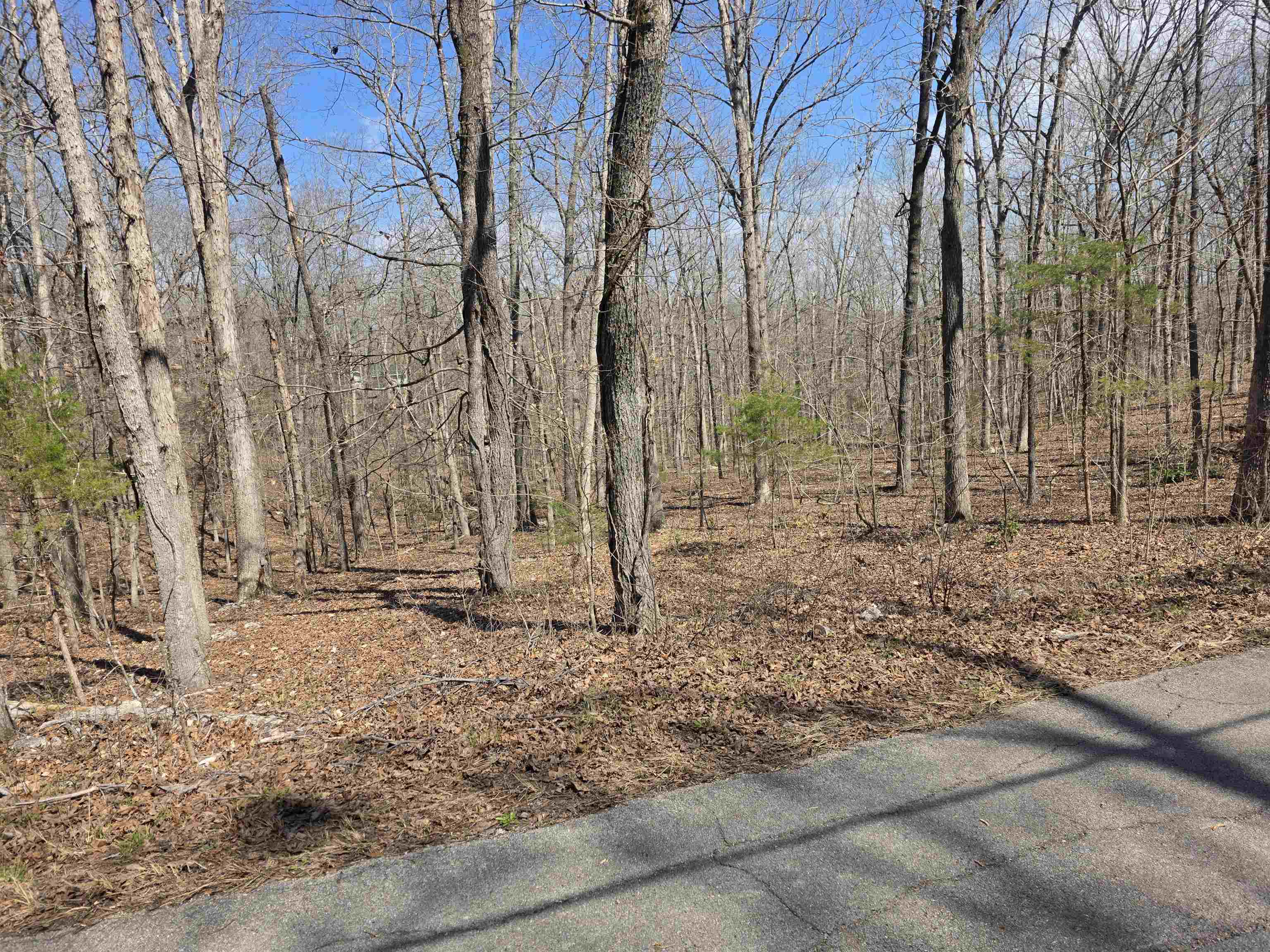 L18 B4 Powhatan Drive Property Photo 4