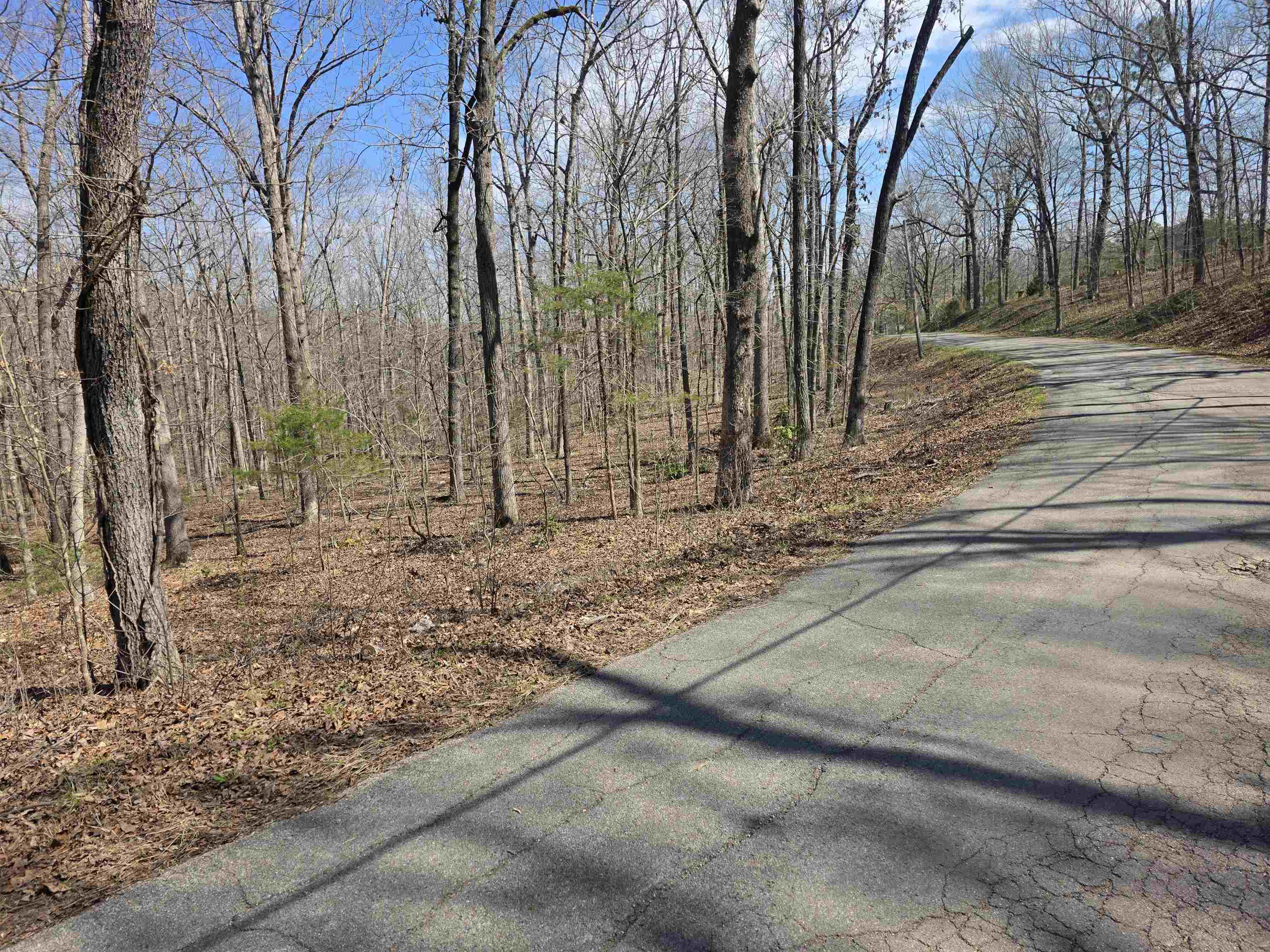 L18 B4 Powhatan Drive Property Photo 5