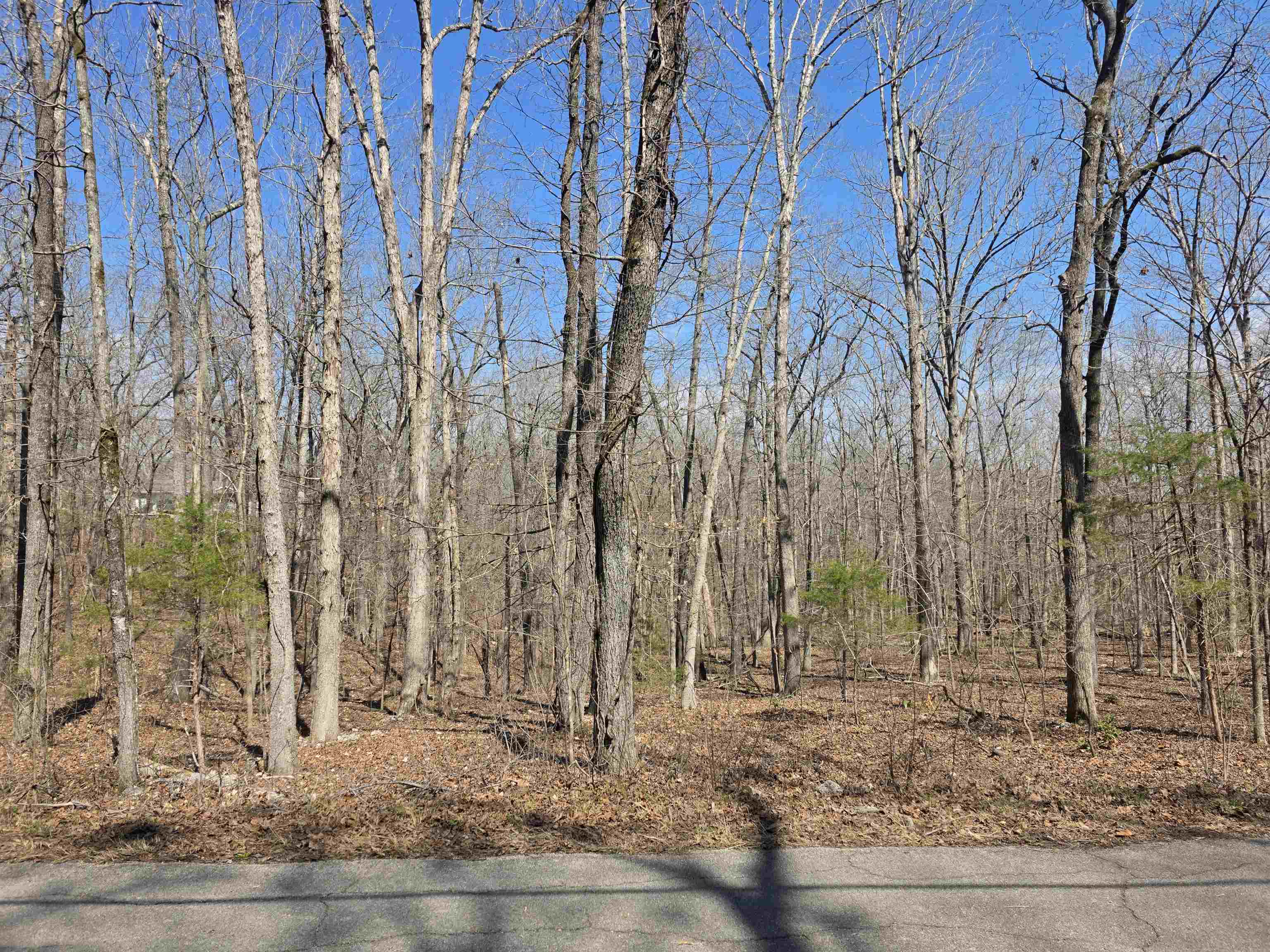 L18 B4 Powhatan Drive Property Photo 6