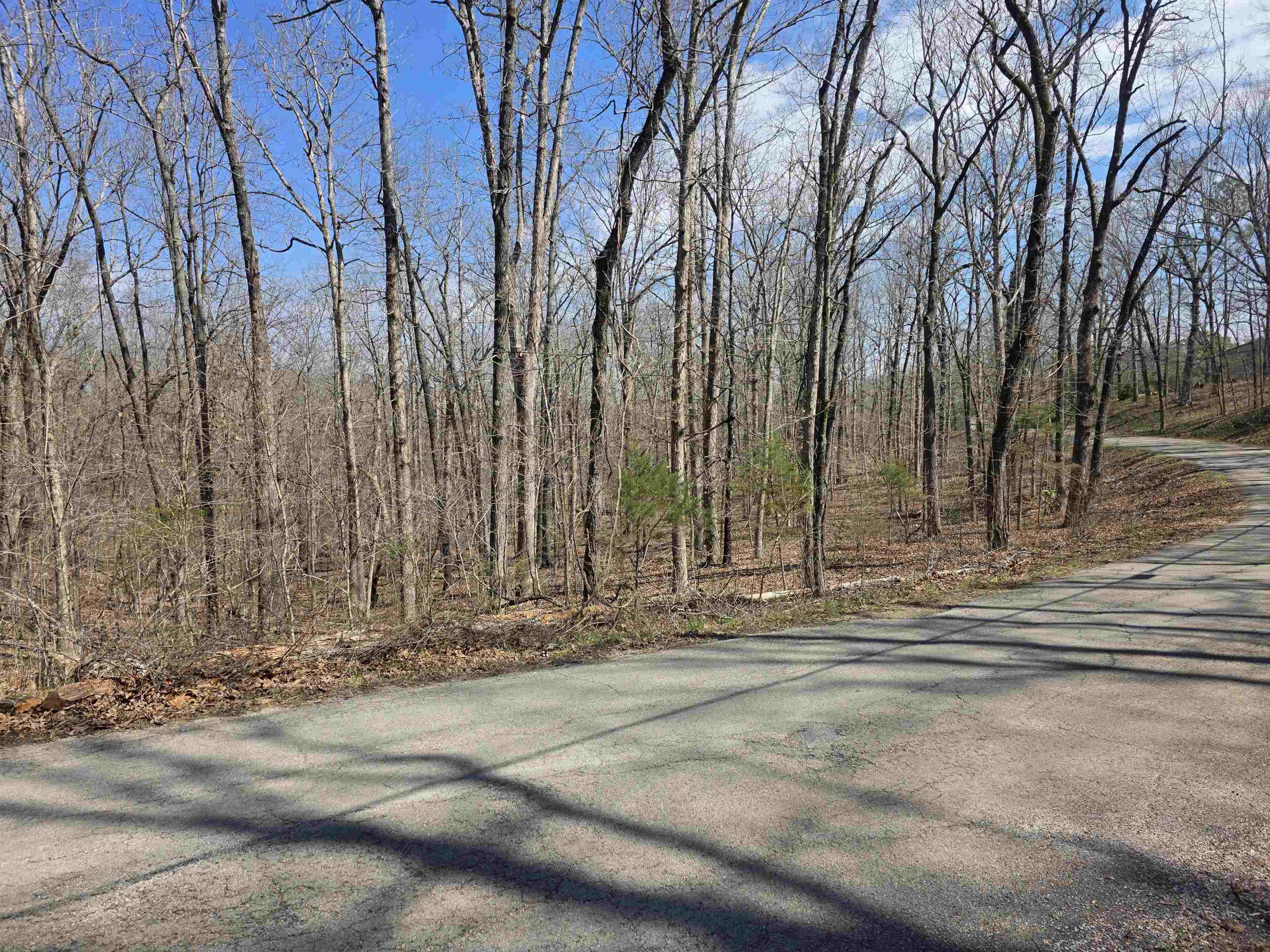 L18 B4 Powhatan Drive Property Photo 7
