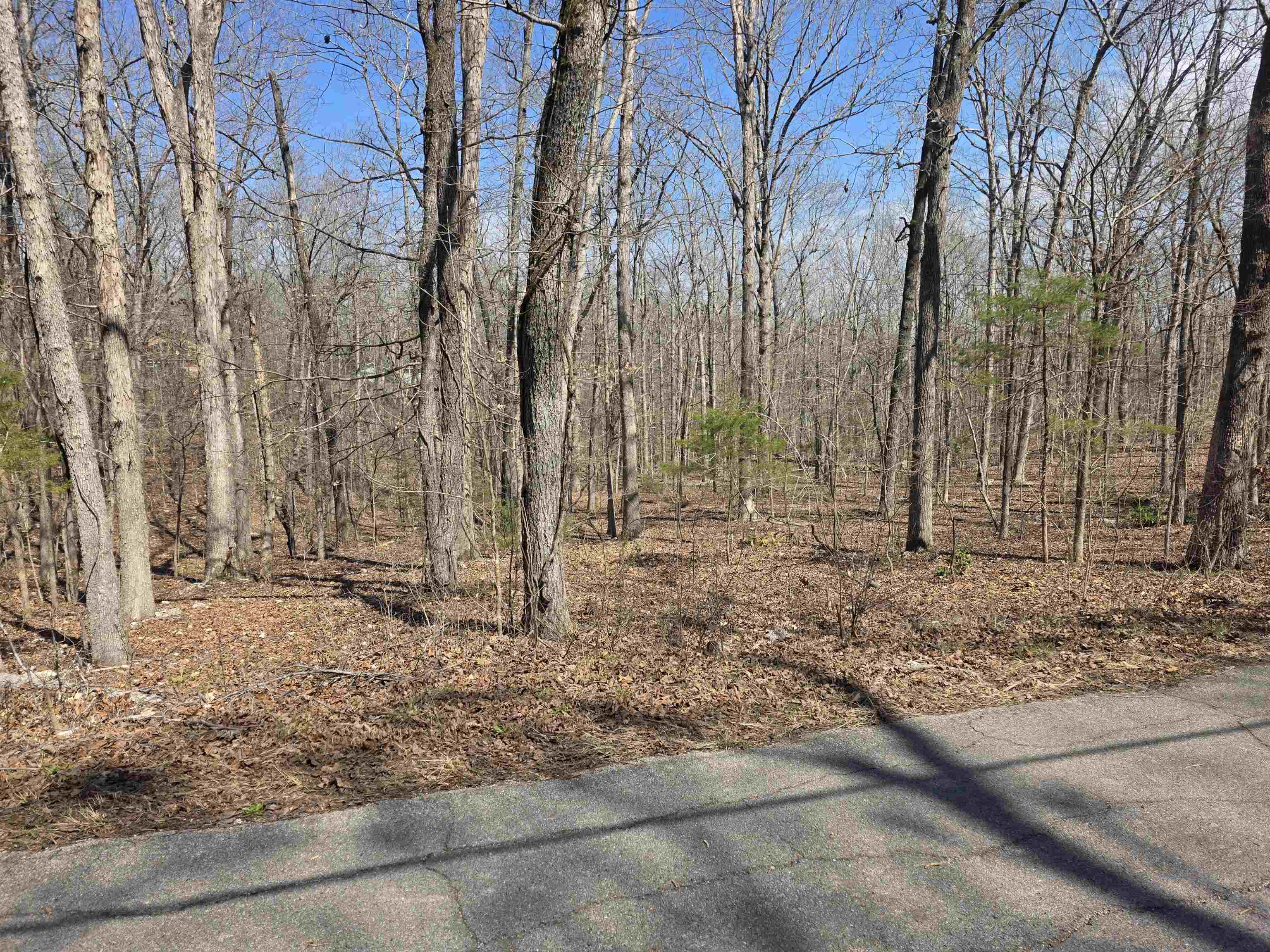 L18 B4 Powhatan Drive Property Photo 9