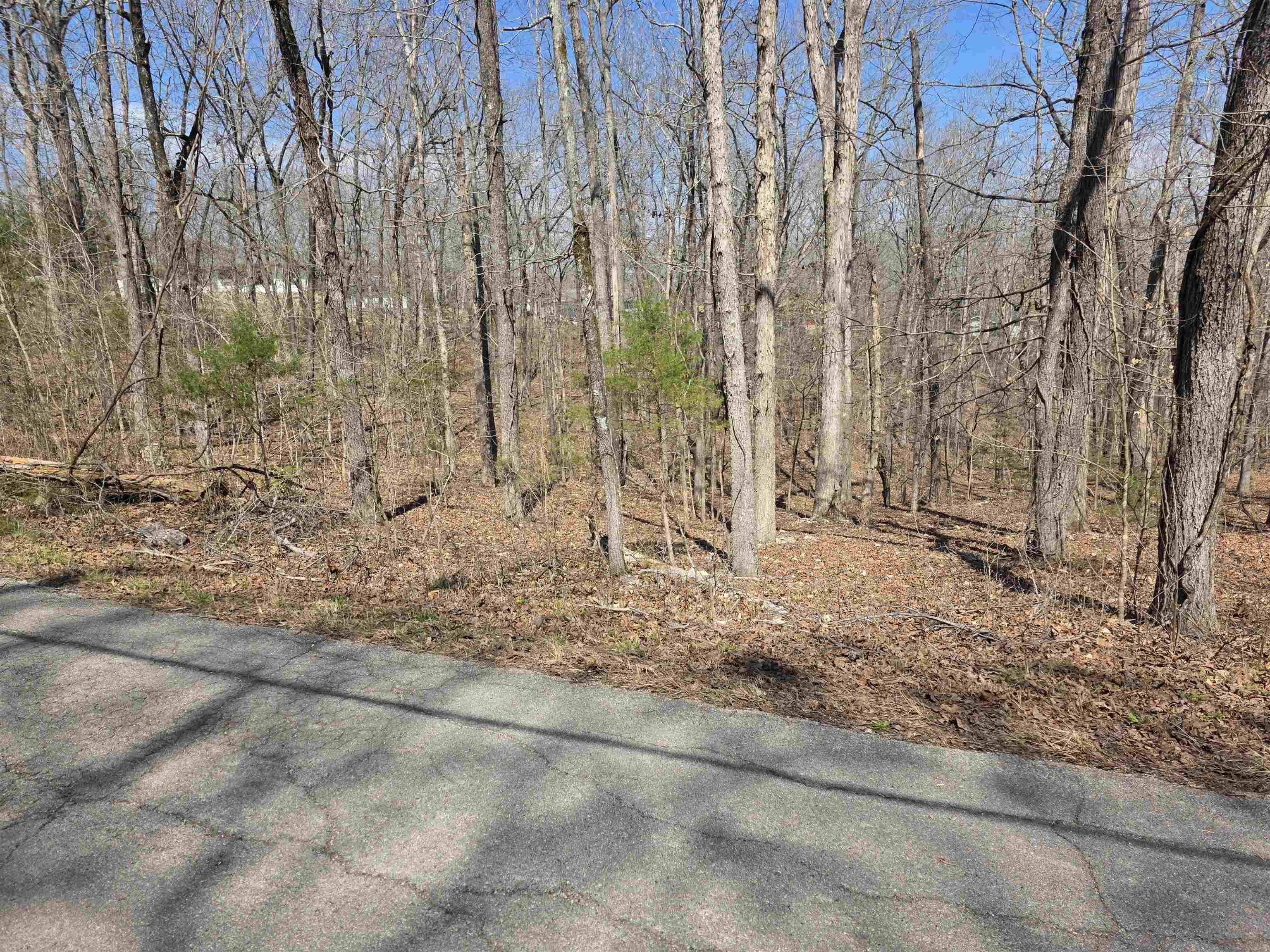 L18 B4 Powhatan Drive Property Photo 10