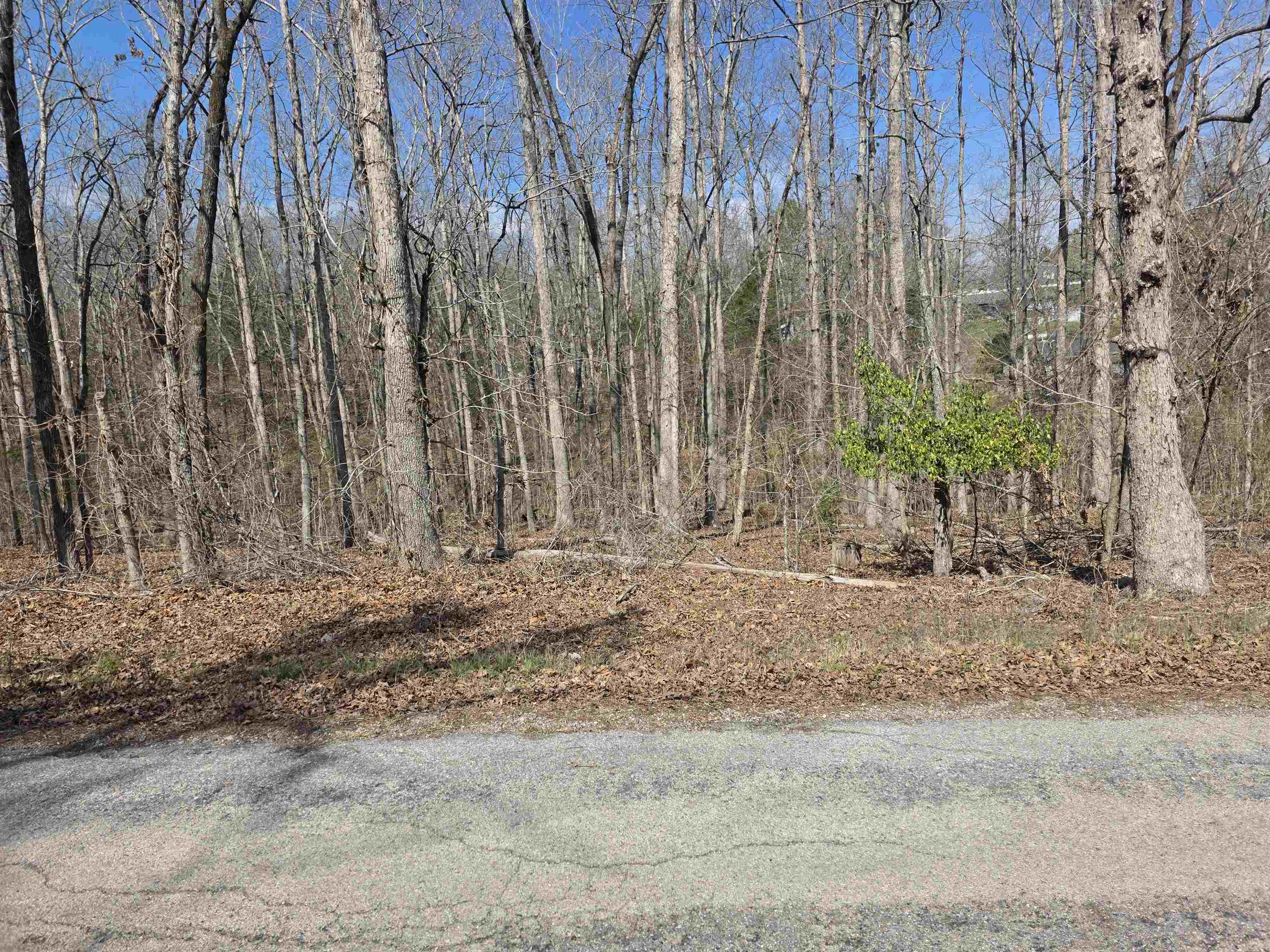 L5 B4 Powhatan Drive Property Photo 1