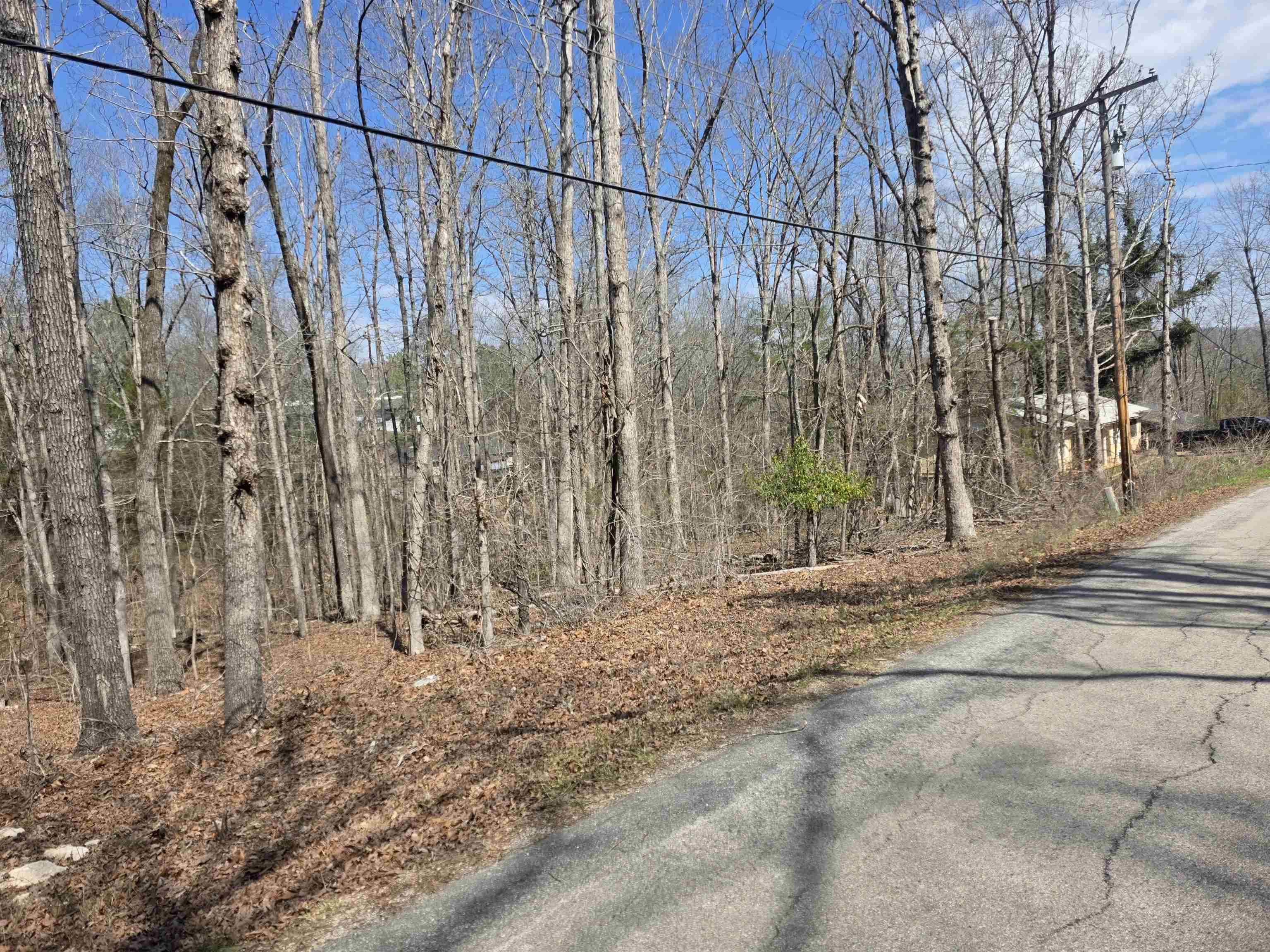 L5 B4 Powhatan Drive Property Photo 3