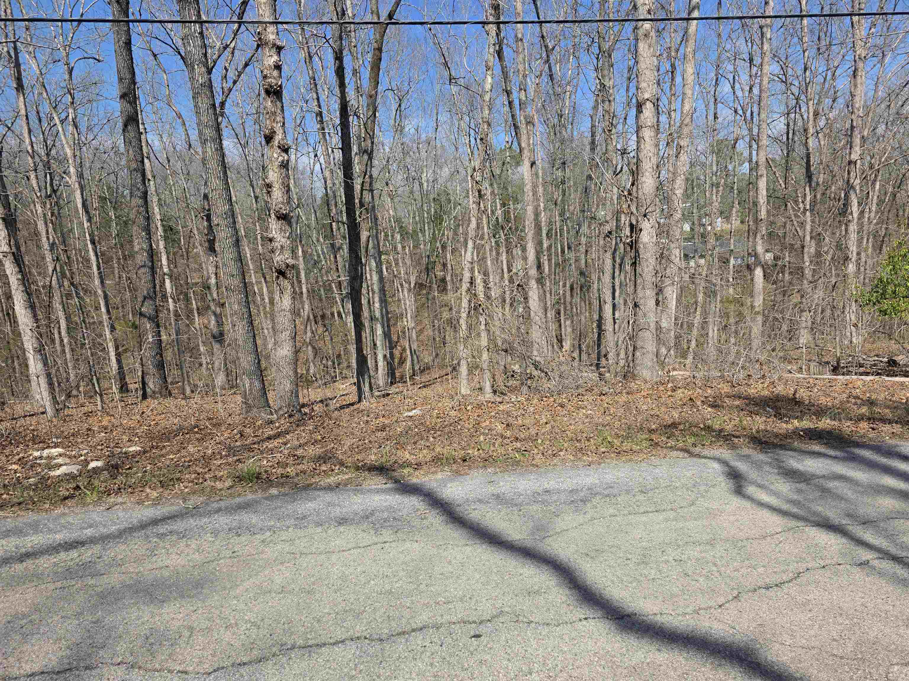 L5 B4 Powhatan Drive Property Photo 4