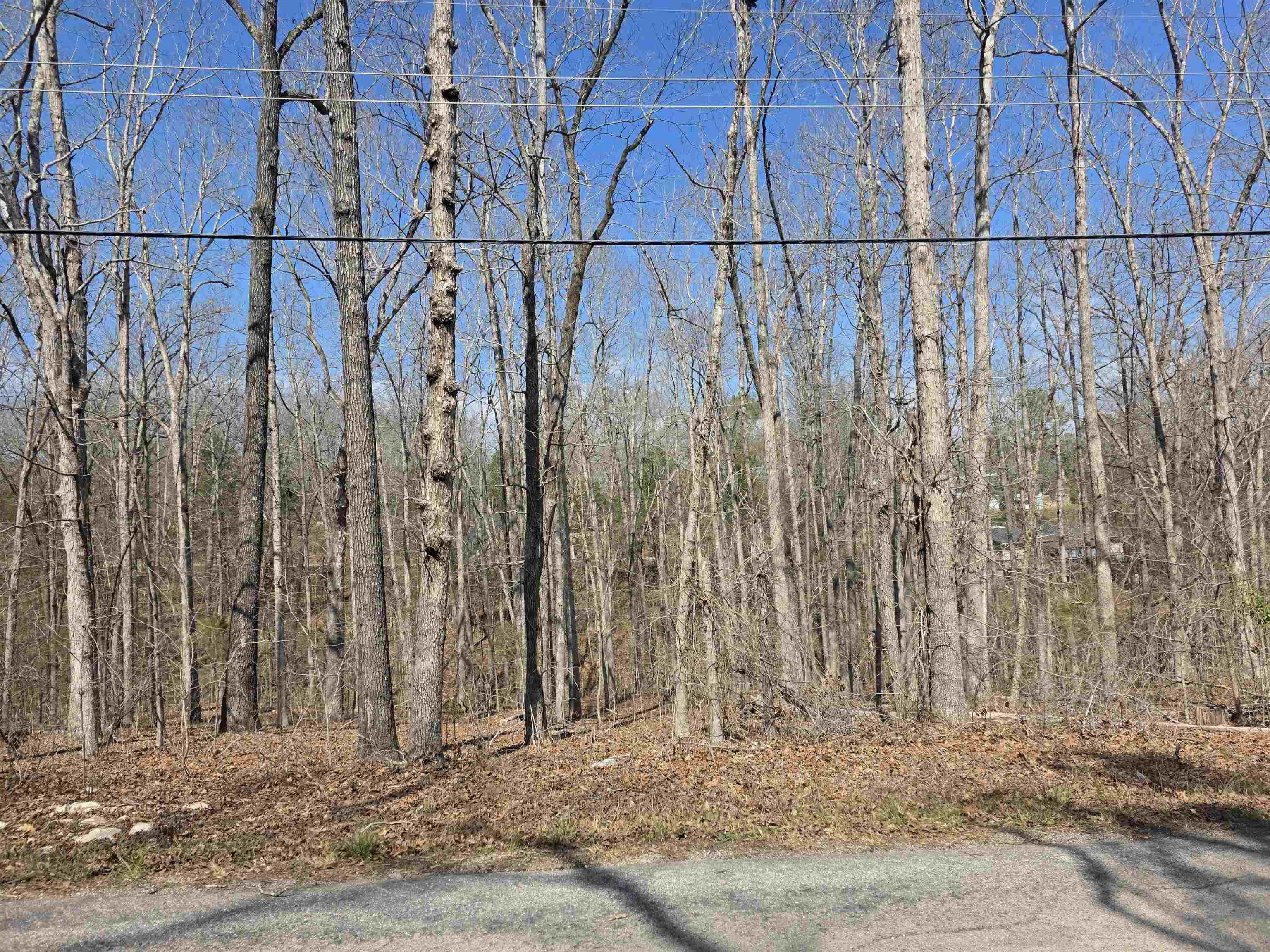 L5 B4 Powhatan Drive Property Photo 5