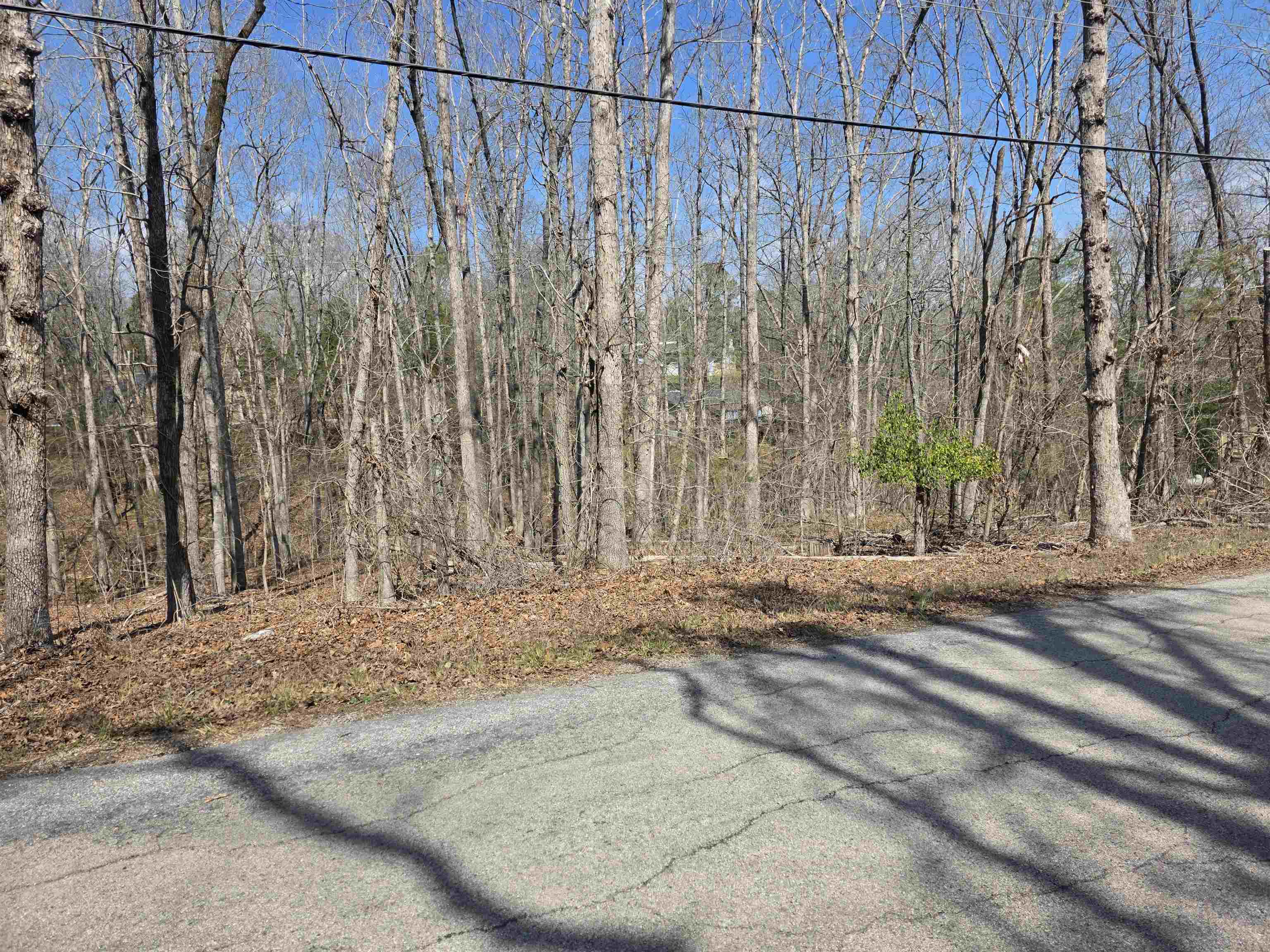 L5 B4 Powhatan Drive Property Photo 6