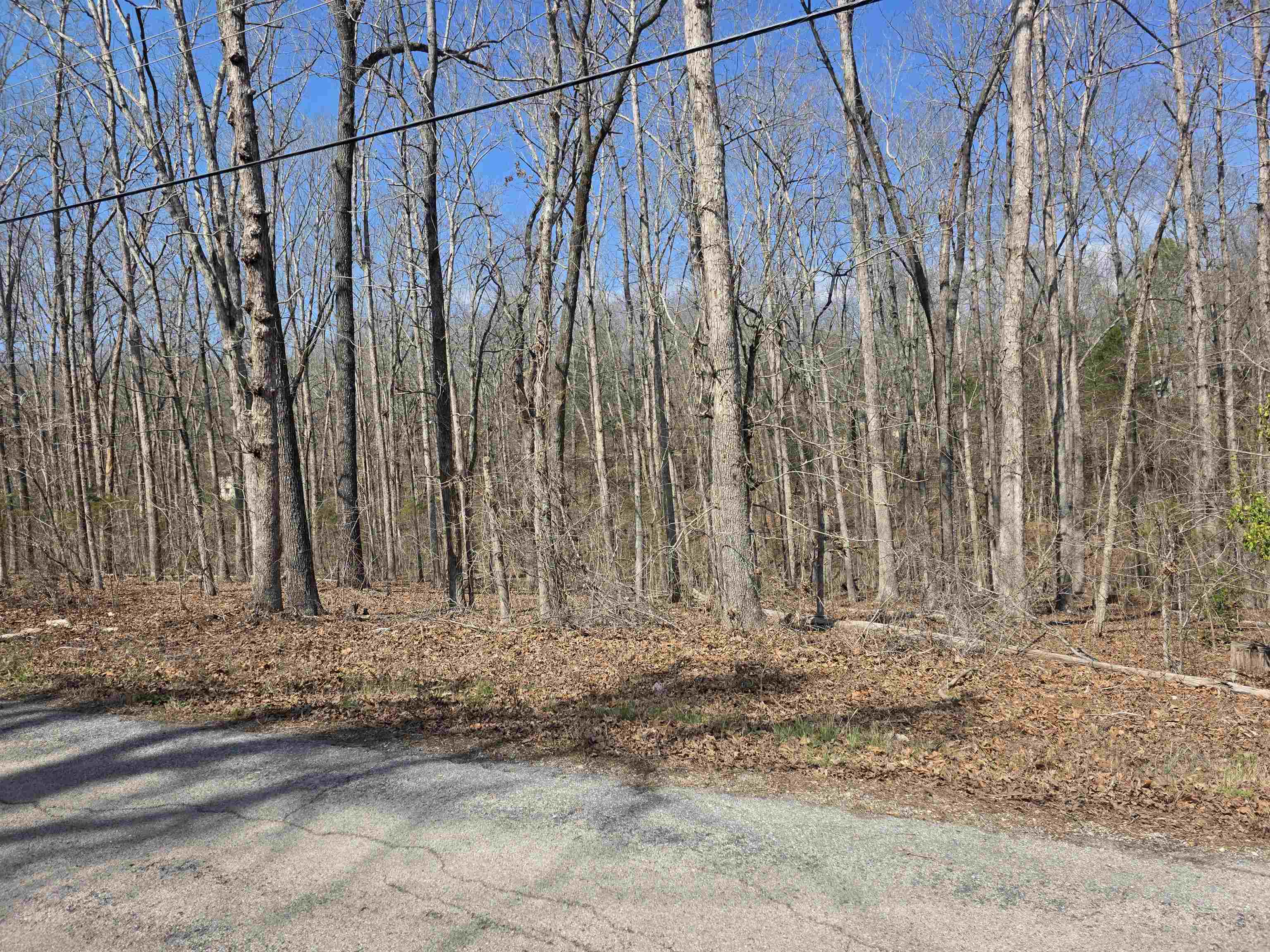L5 B4 Powhatan Drive Property Photo 7