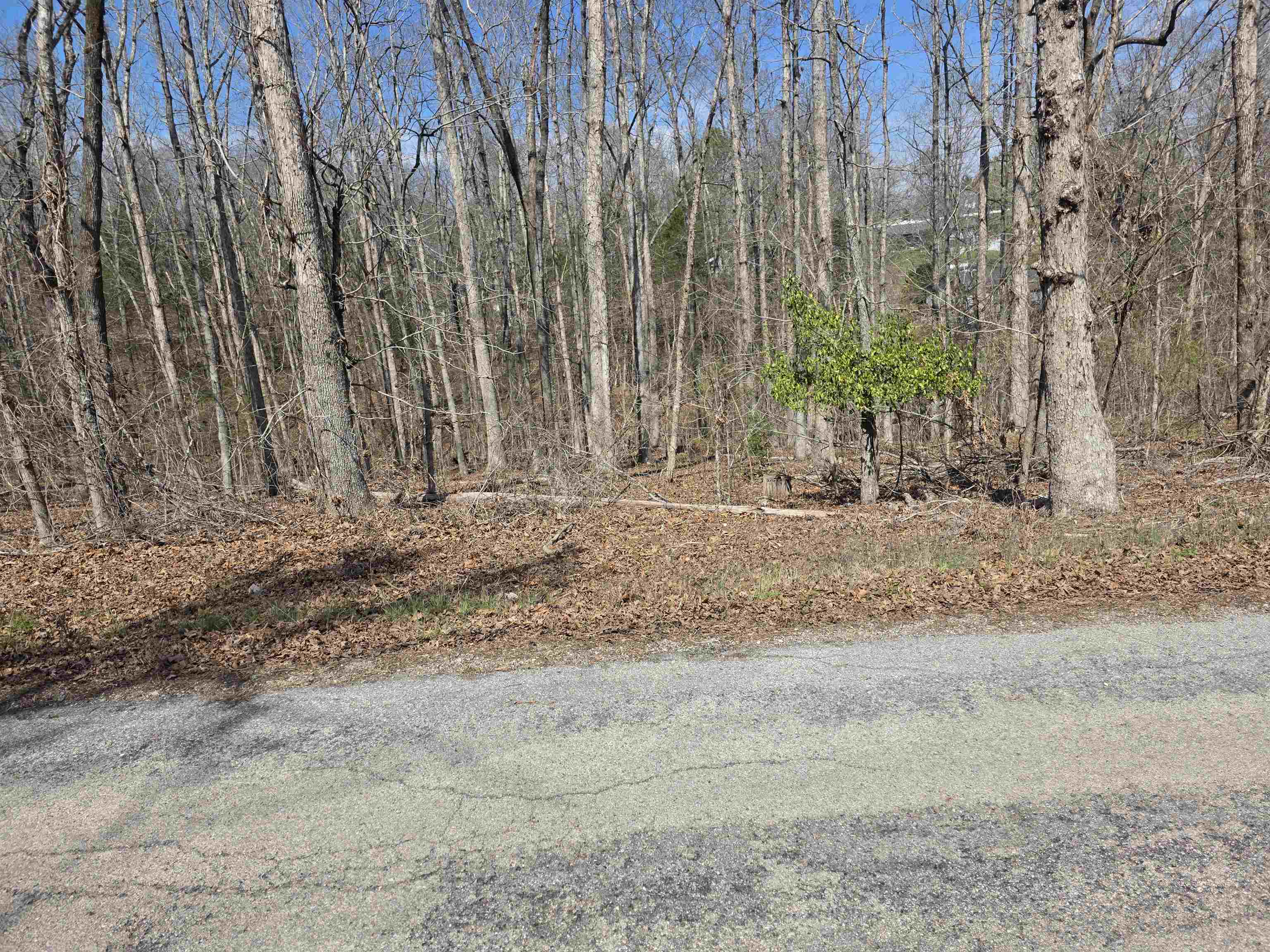 L5 B4 Powhatan Drive Property Photo 9
