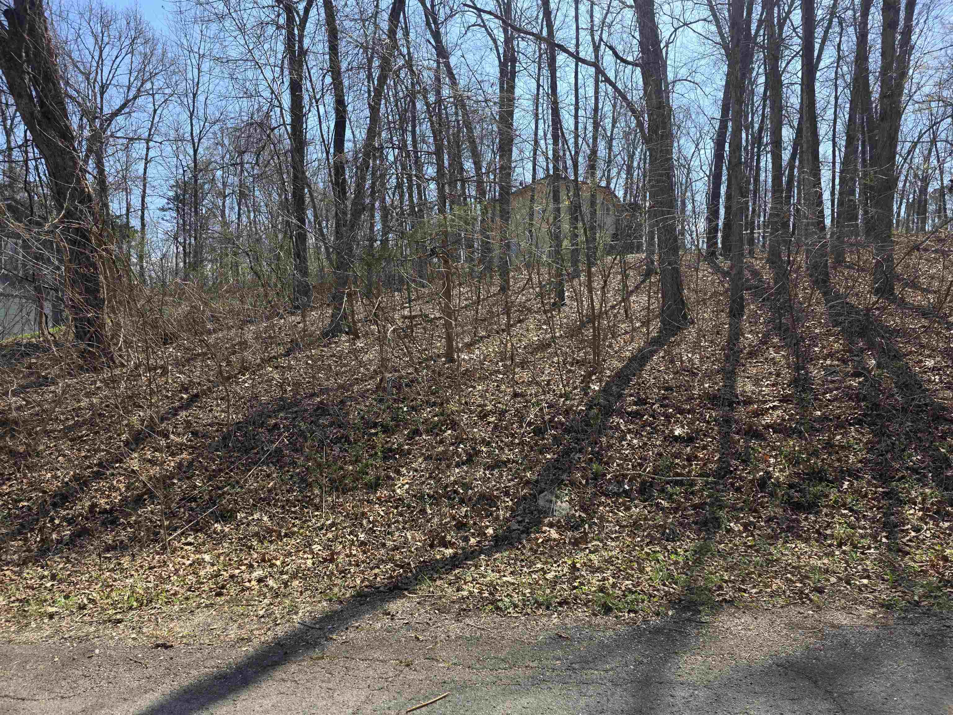 L35 B2 Powhatan Drive Property Photo 4
