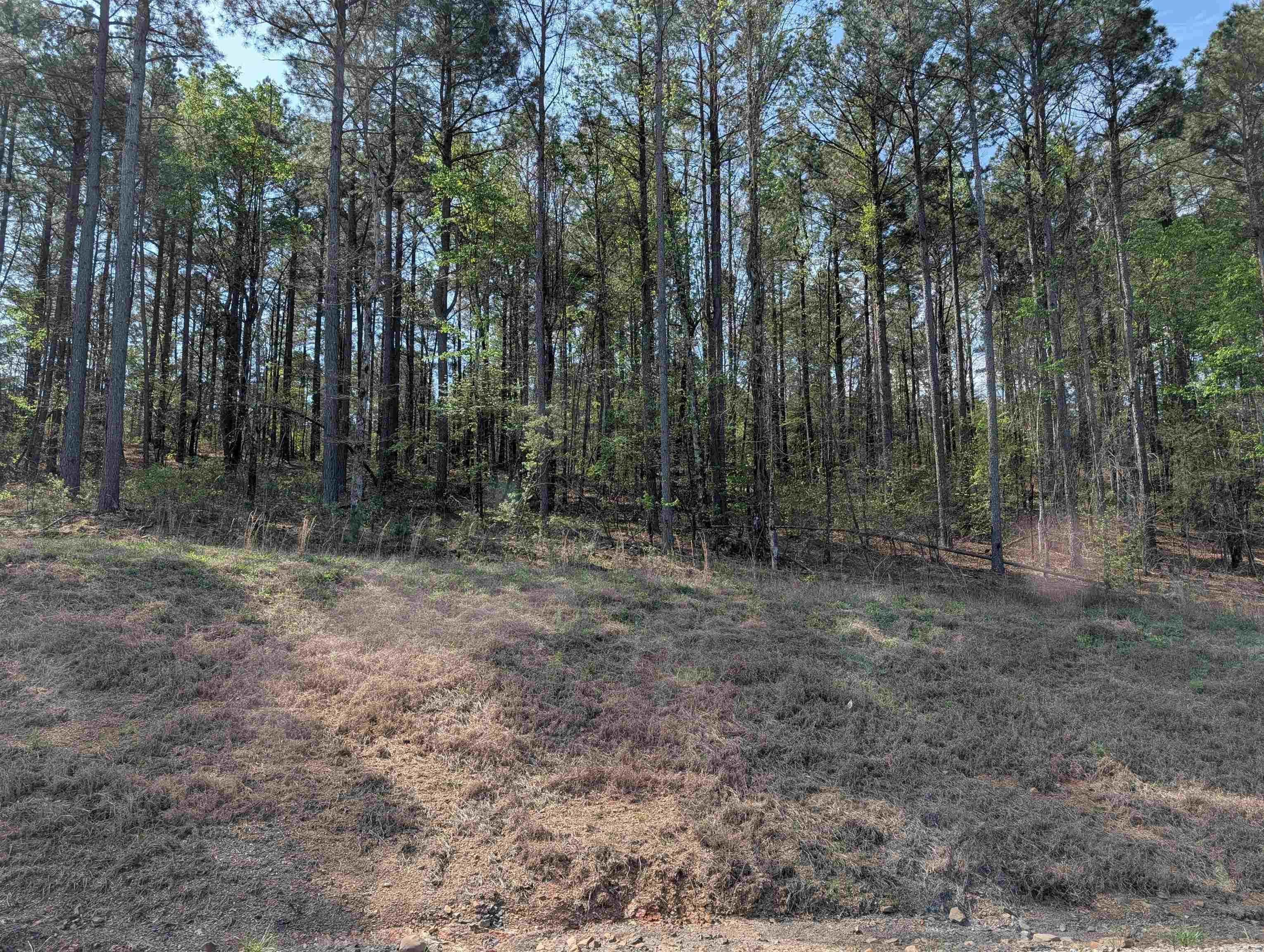 Union Valley Road Property Photo 3