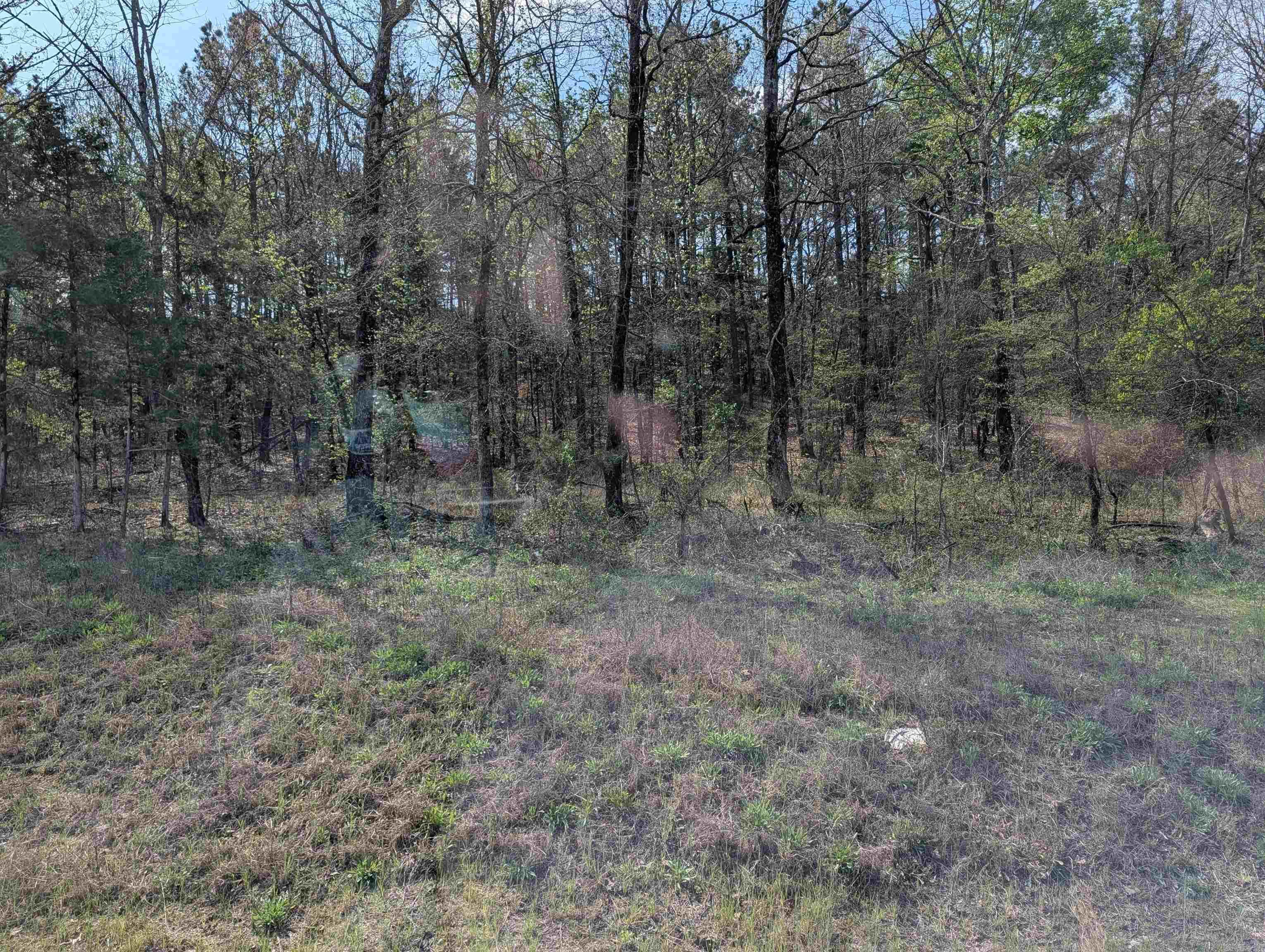 Union Valley Road Property Photo 5